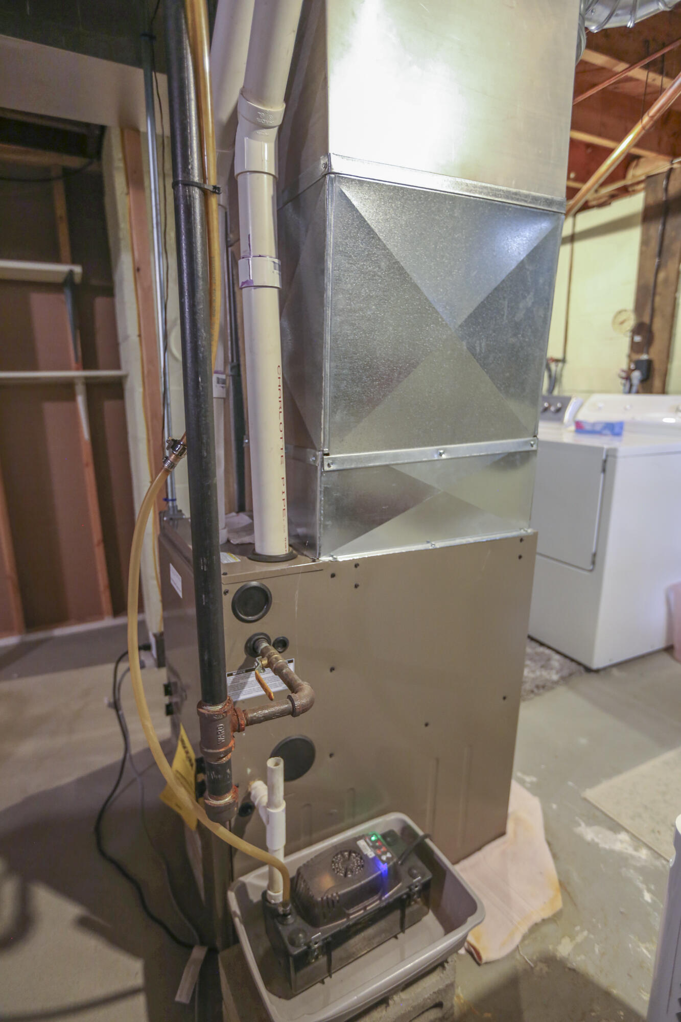 118 Fling Street Brewer, ME 04412 - Photo 41 of 54 118FlingStBrewer-45