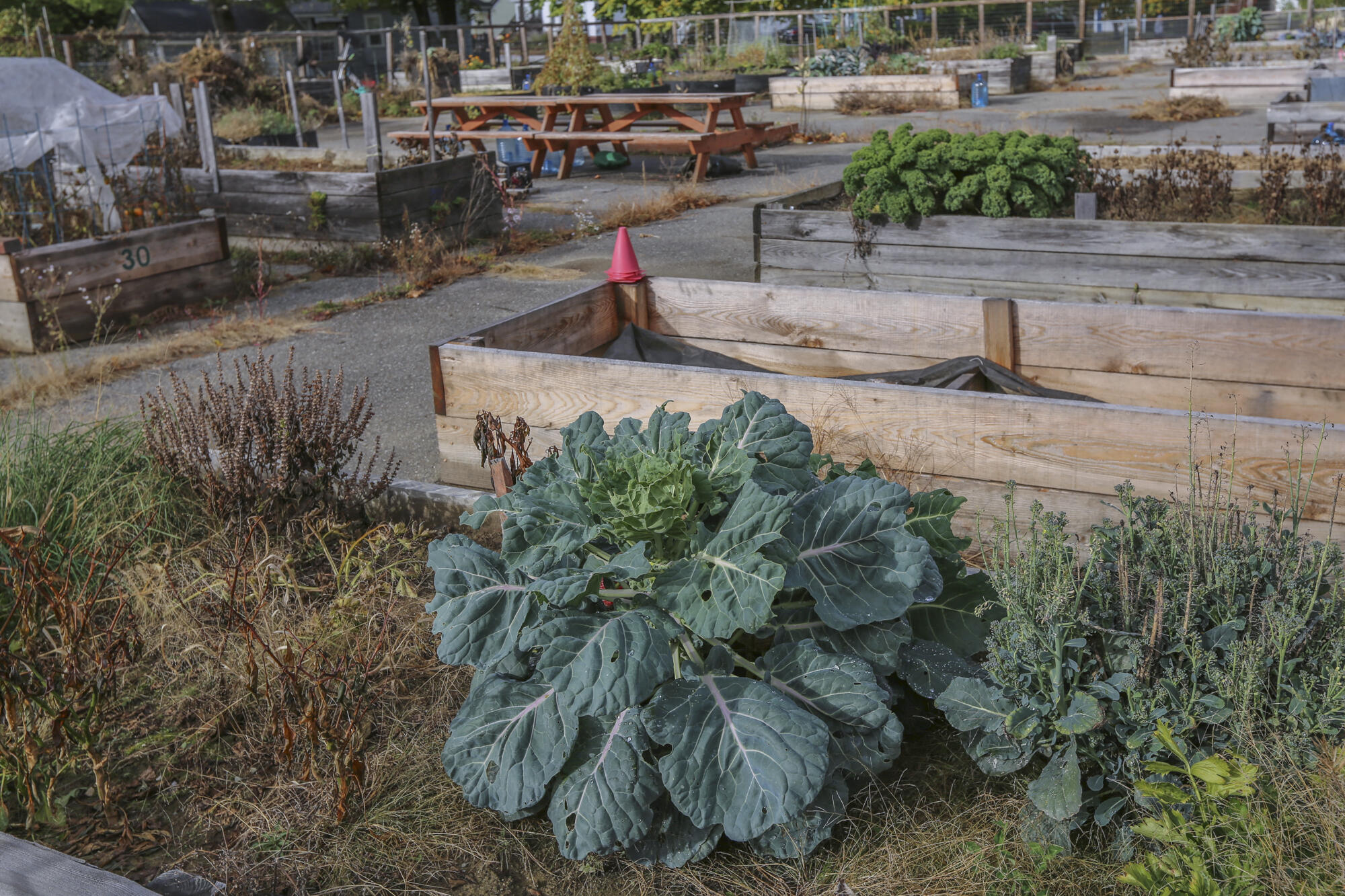 118 Fling Street Brewer, ME 04412 - Photo 46 of 54 118FlingStBrewer-55