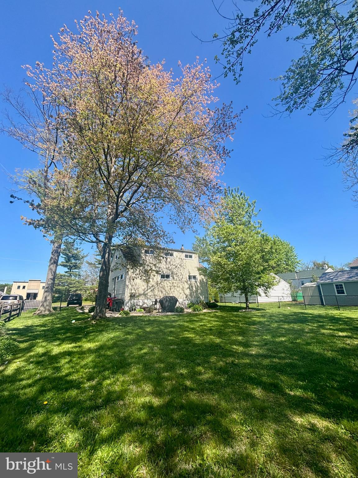 520 Olive Street Warminster, PA 18974 - Photo 8 of 8 a view of a park with large trees