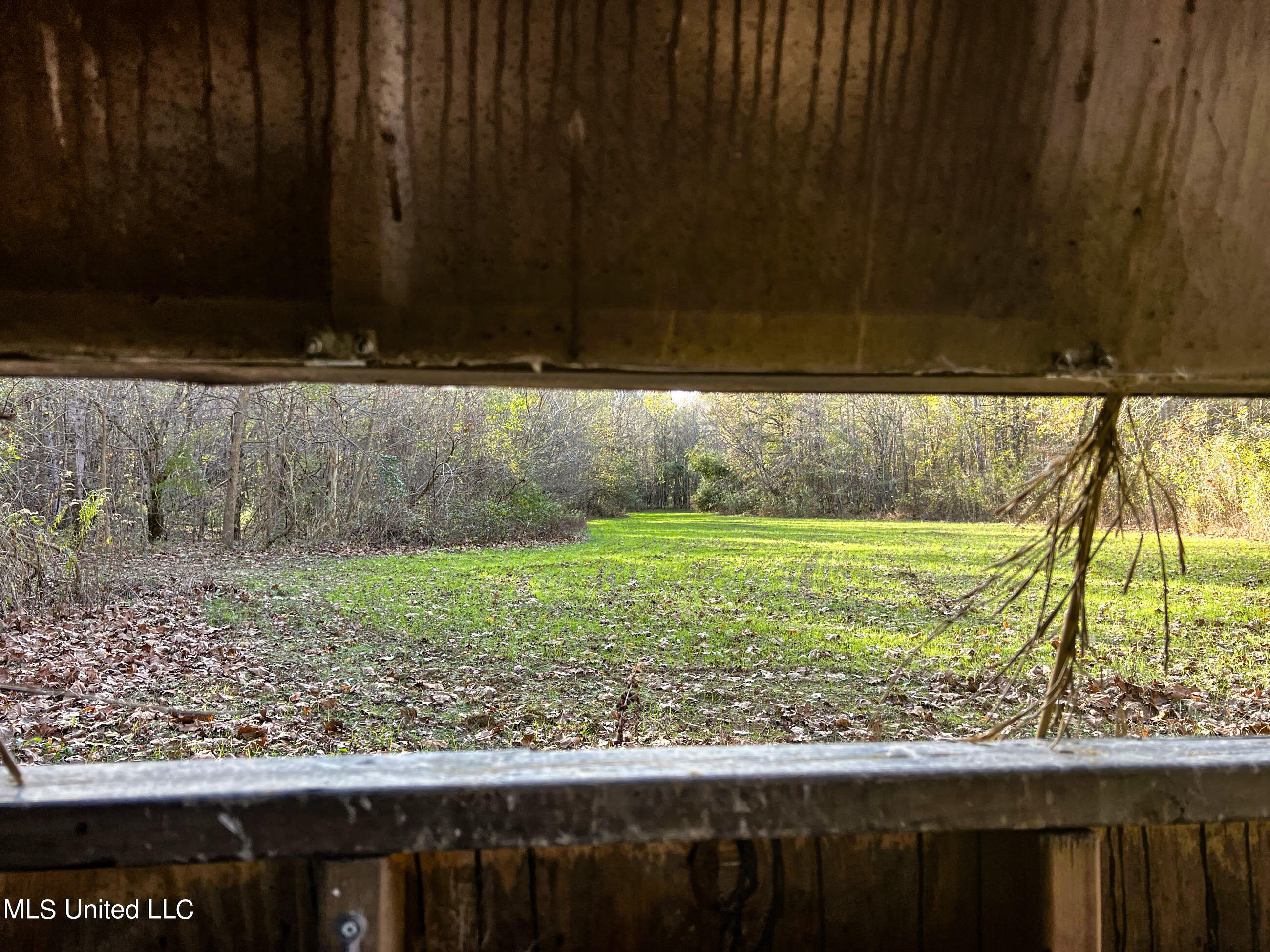 840 Rock Hill Road Como, MS 38619 - Photo 14 of 66 yst53.7