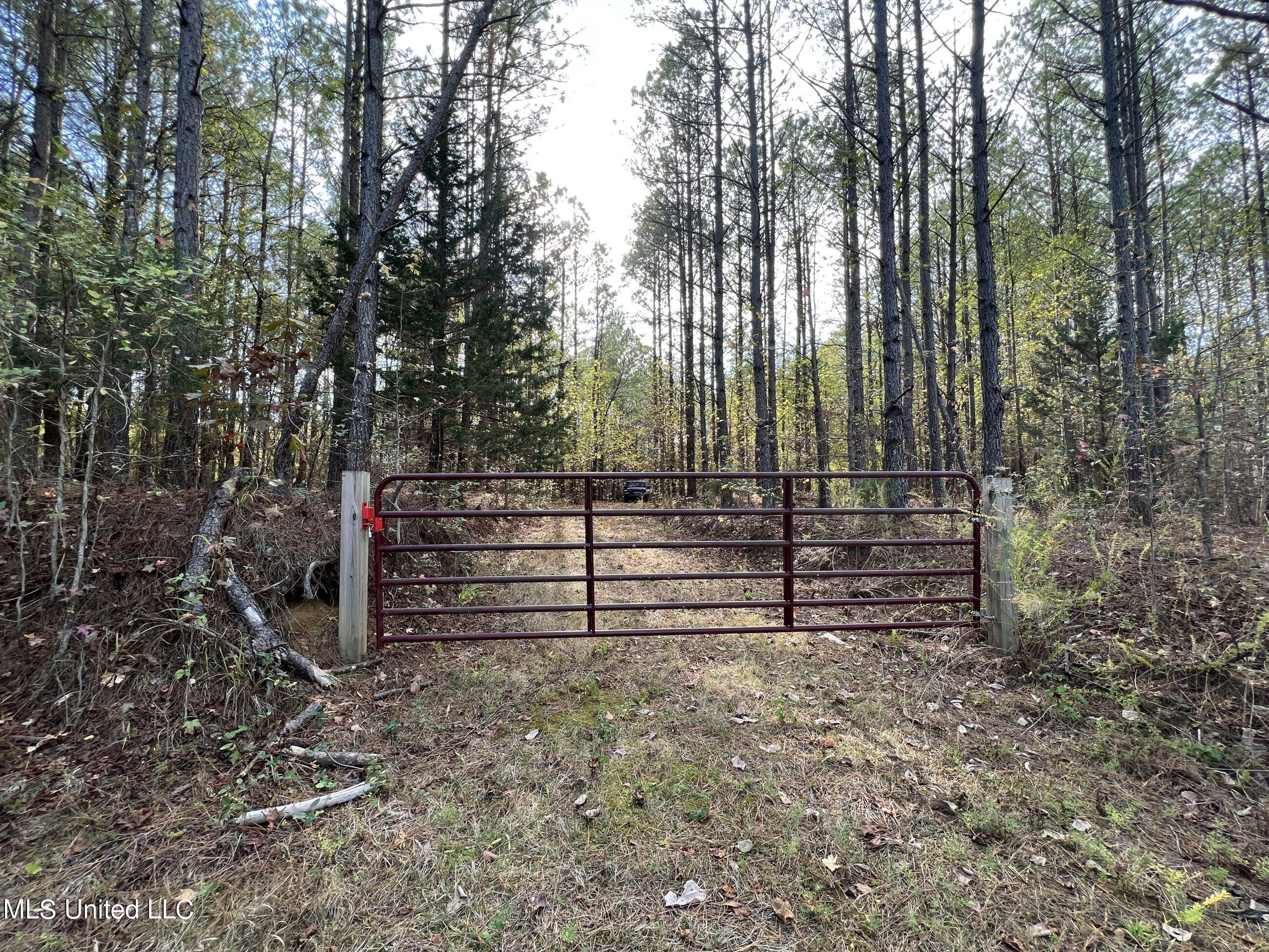 840 Rock Hill Road Como, MS 38619 - Photo 18 of 66 yst66