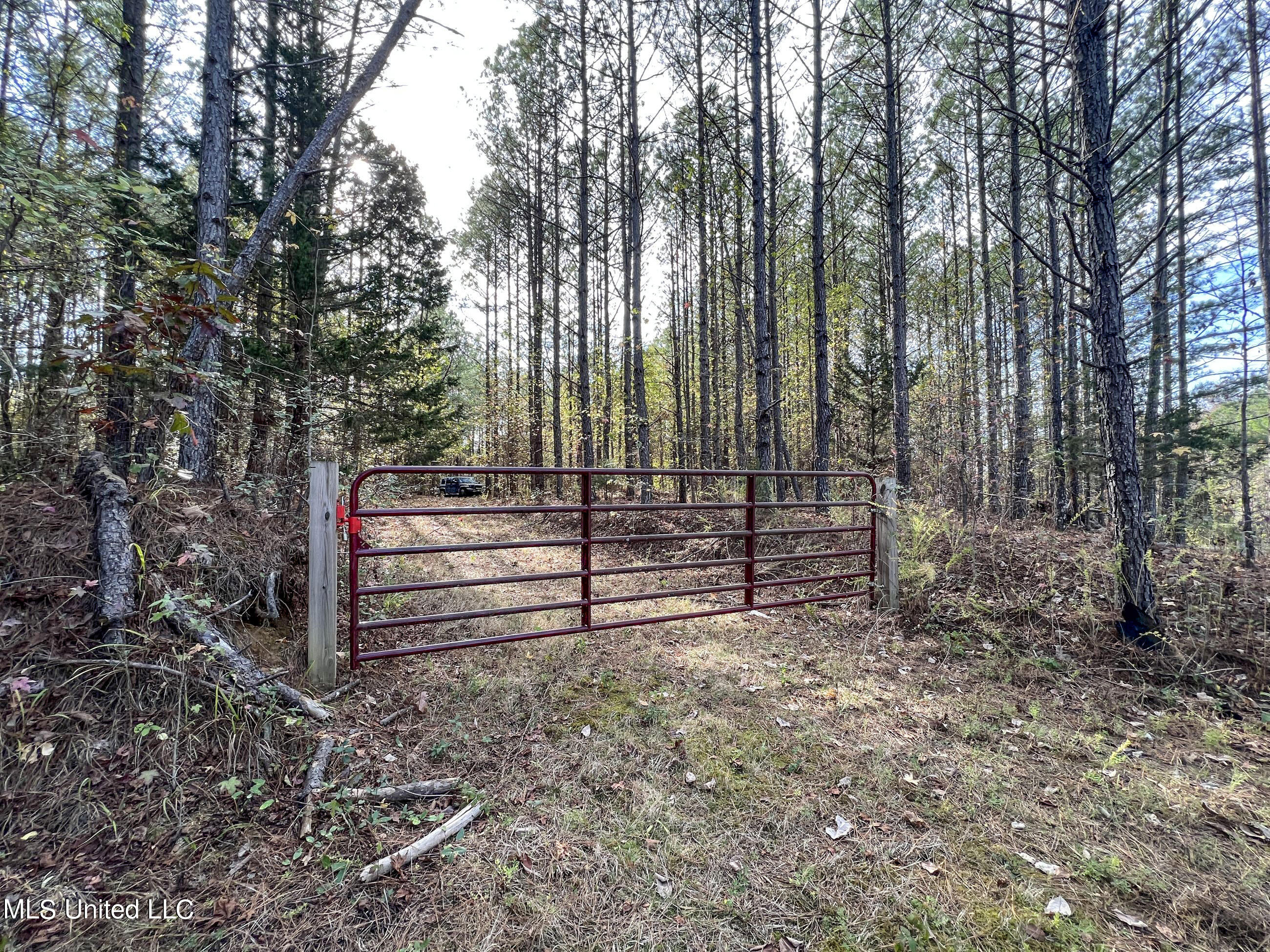 840 Rock Hill Road Como, MS 38619 - Photo 19 of 66 yst67