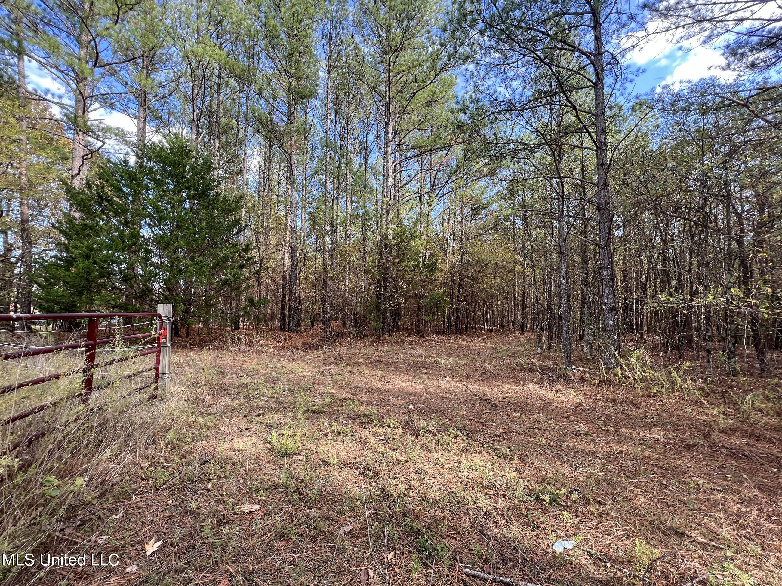840 Rock Hill Road Como, MS 38619 - Photo 20 of 66 yst70