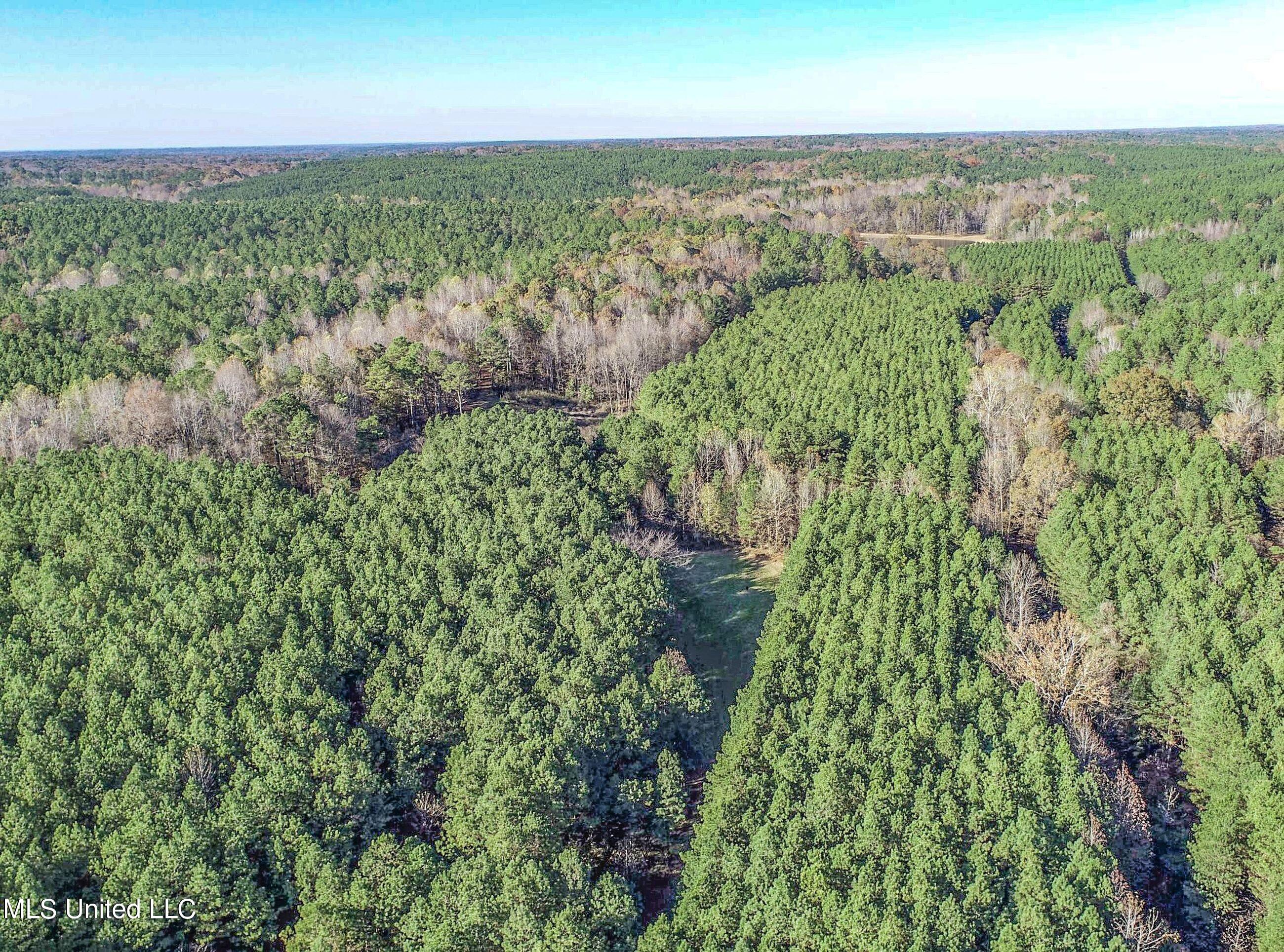 840 Rock Hill Road Como, MS 38619 - Photo 23 of 66 yst95.2