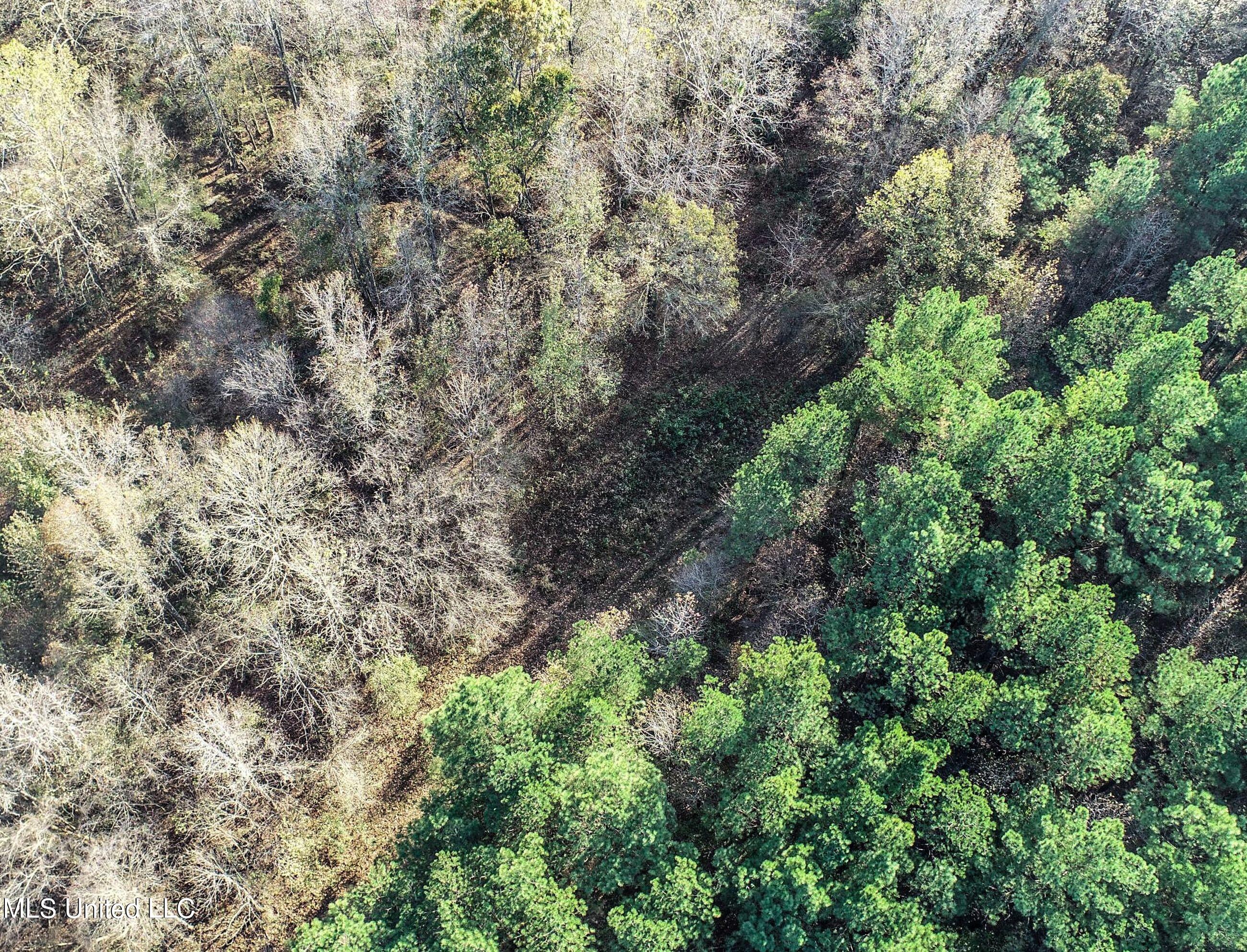 840 Rock Hill Road Como, MS 38619 - Photo 27 of 66 2yst53