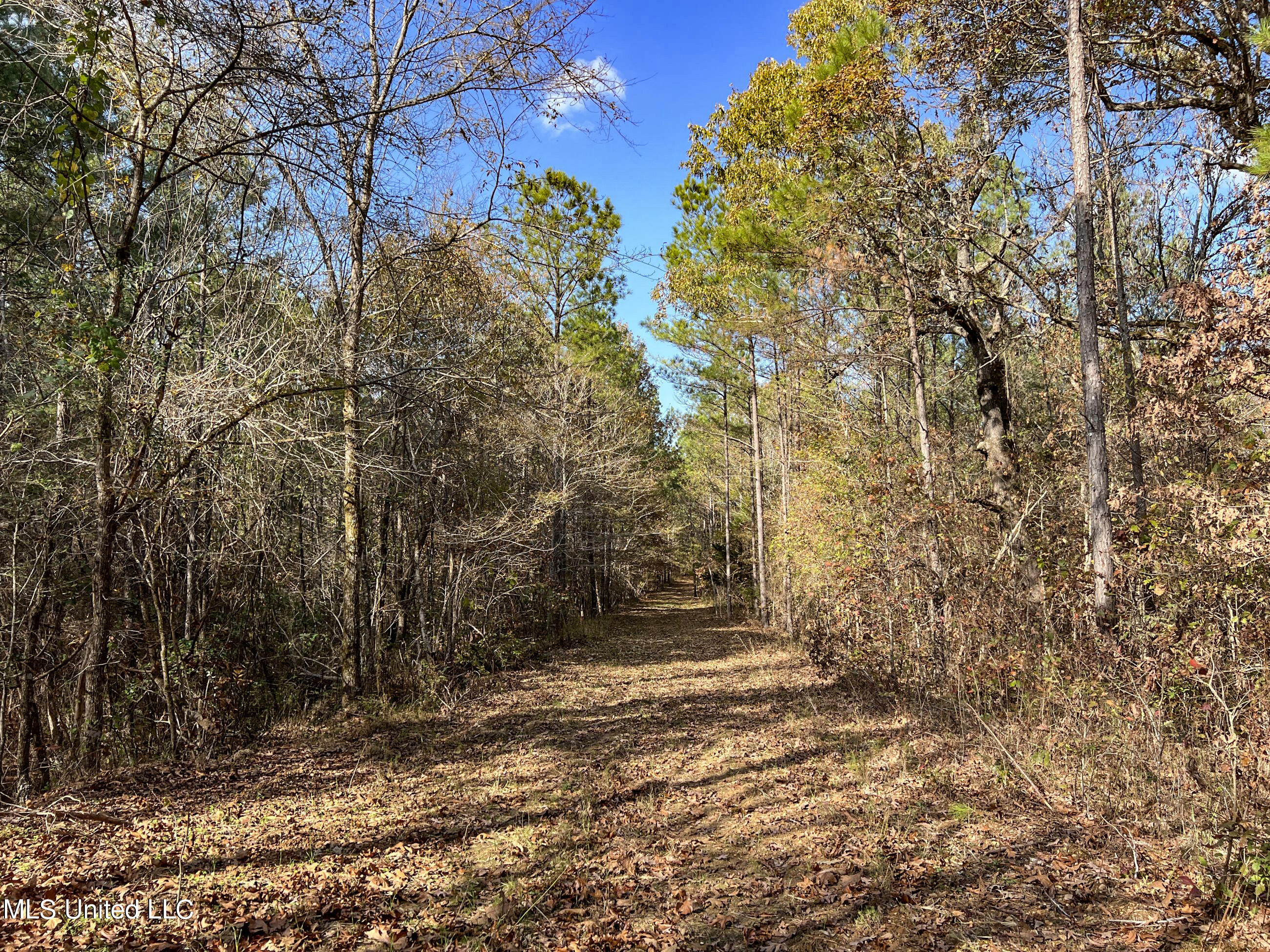 840 Rock Hill Road Como, MS 38619 - Photo 28 of 66 yst57