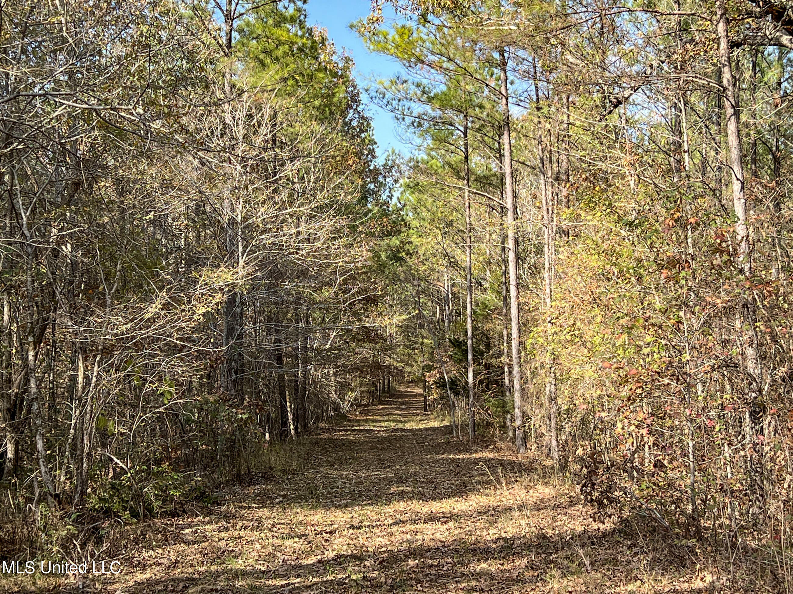 840 Rock Hill Road Como, MS 38619 - Photo 29 of 66 yst58