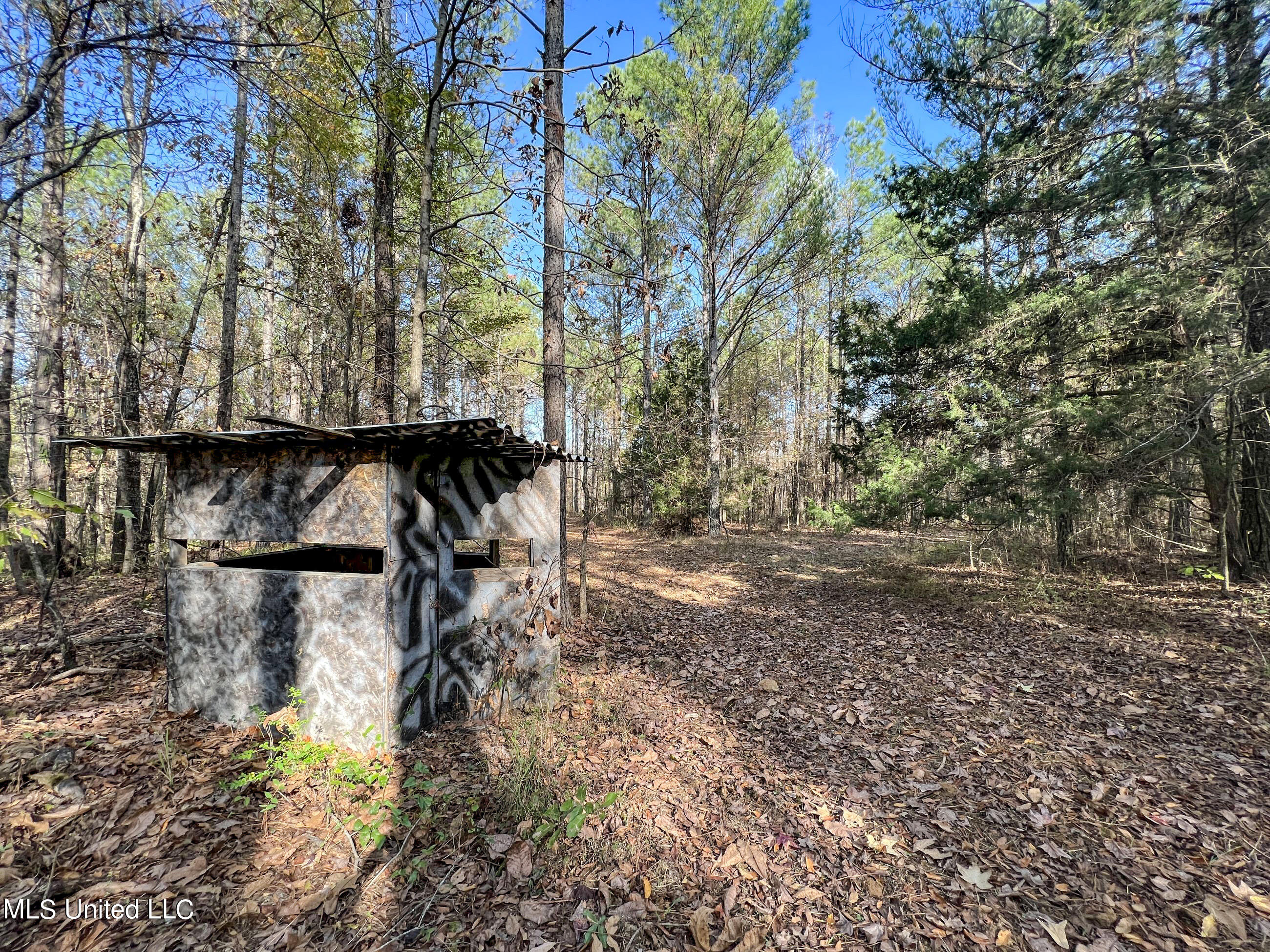 840 Rock Hill Road Como, MS 38619 - Photo 30 of 66 yst59