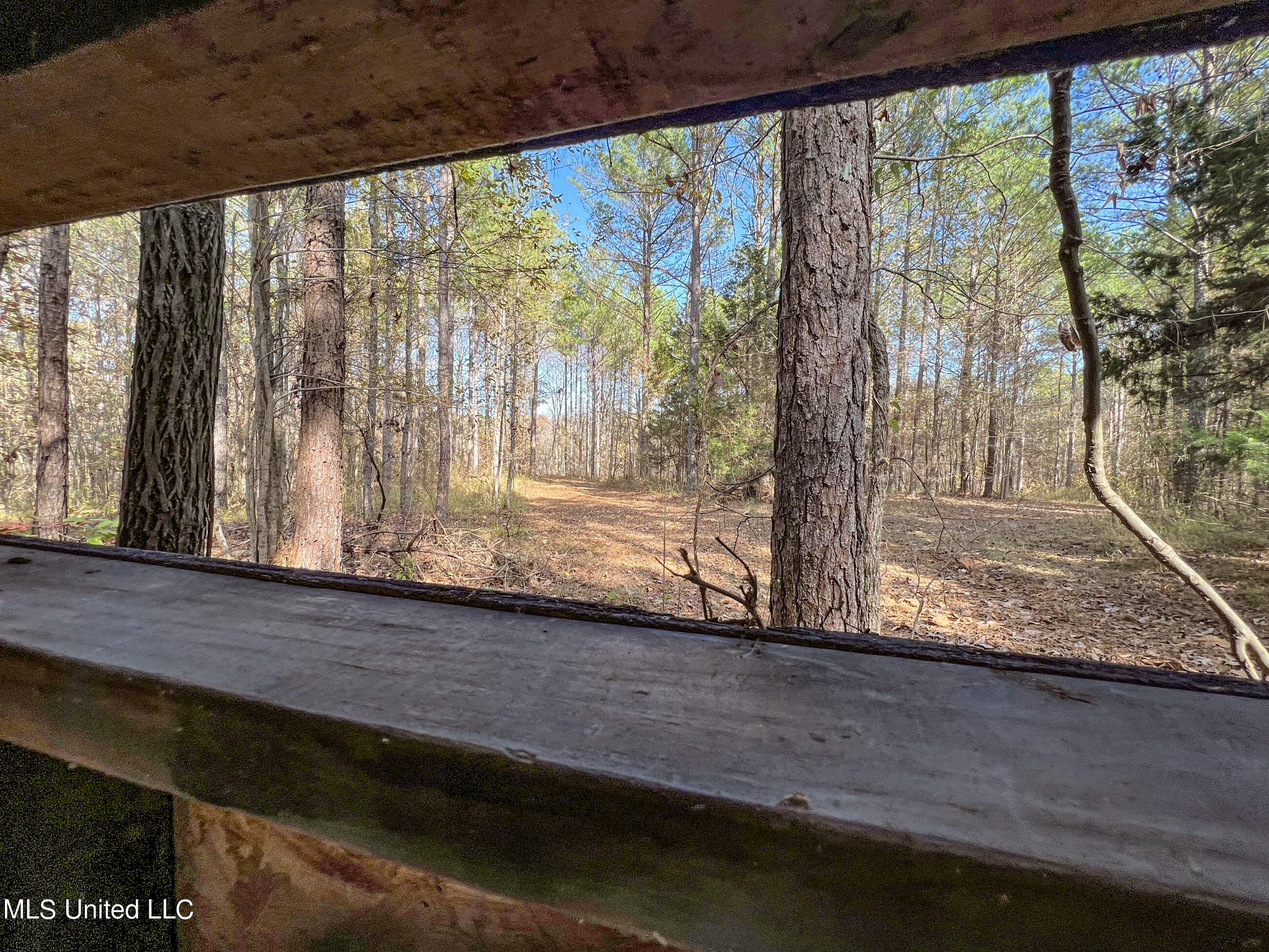 840 Rock Hill Road Como, MS 38619 - Photo 31 of 66 yst60