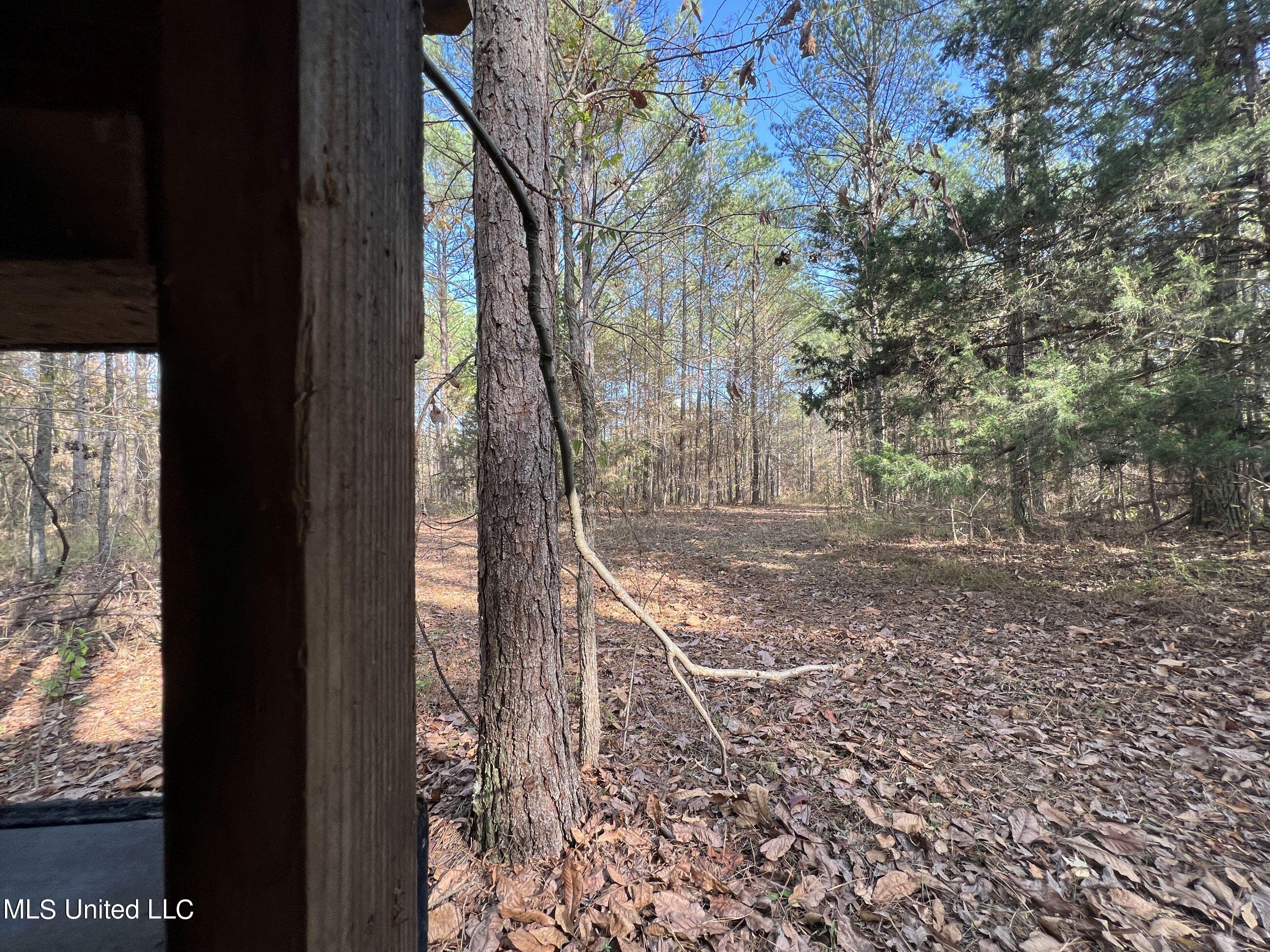 840 Rock Hill Road Como, MS 38619 - Photo 32 of 66 yst61