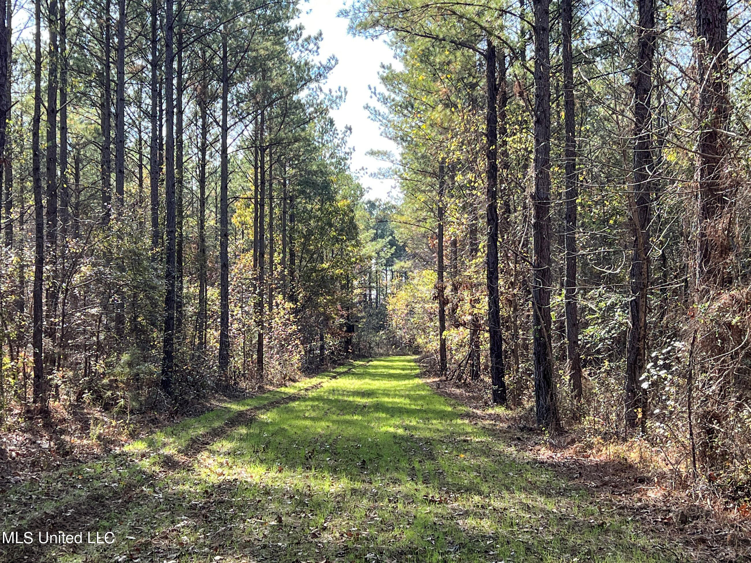 840 Rock Hill Road Como, MS 38619 - Photo 33 of 66 yst52