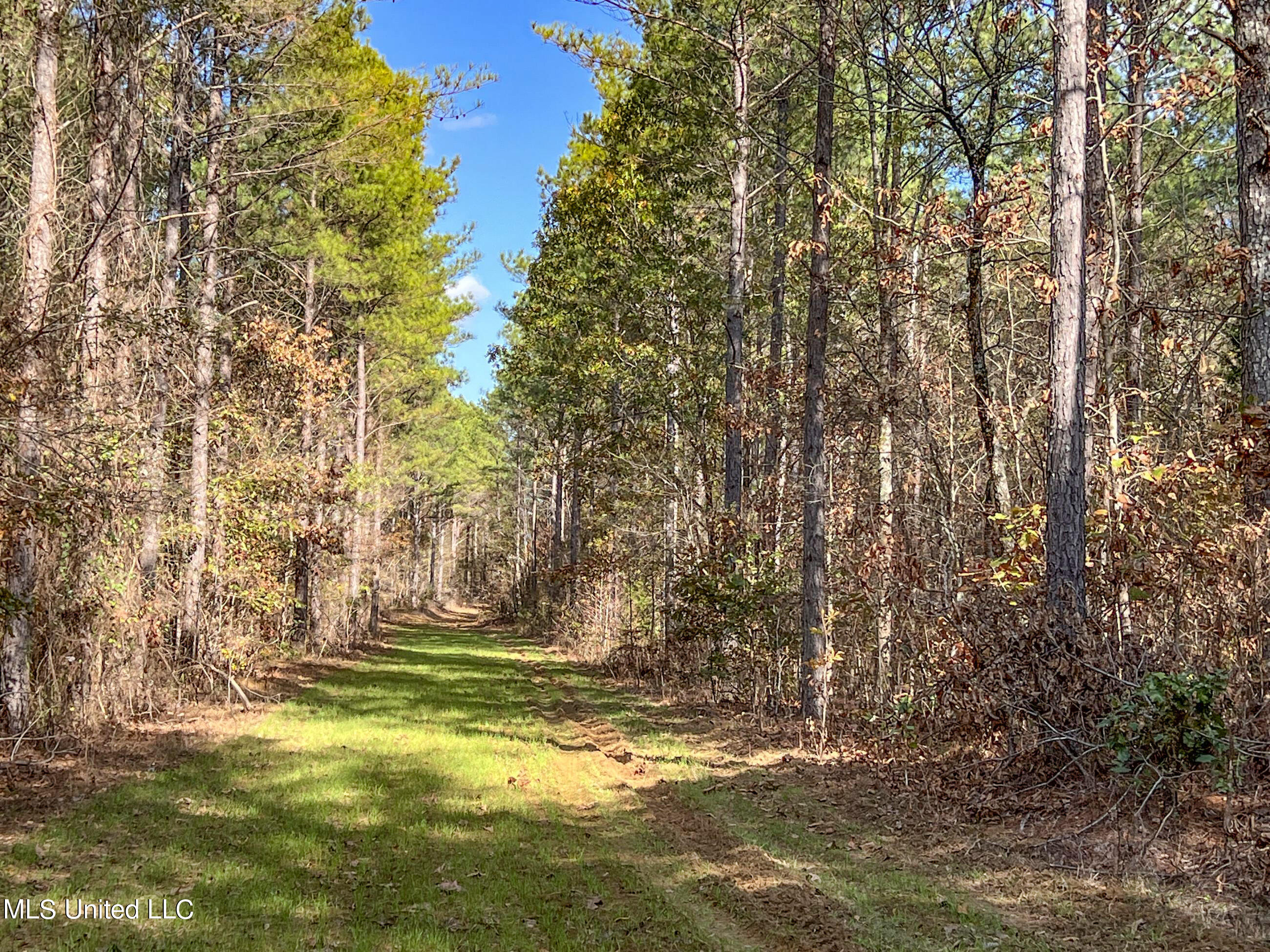 840 Rock Hill Road Como, MS 38619 - Photo 34 of 66 yst53