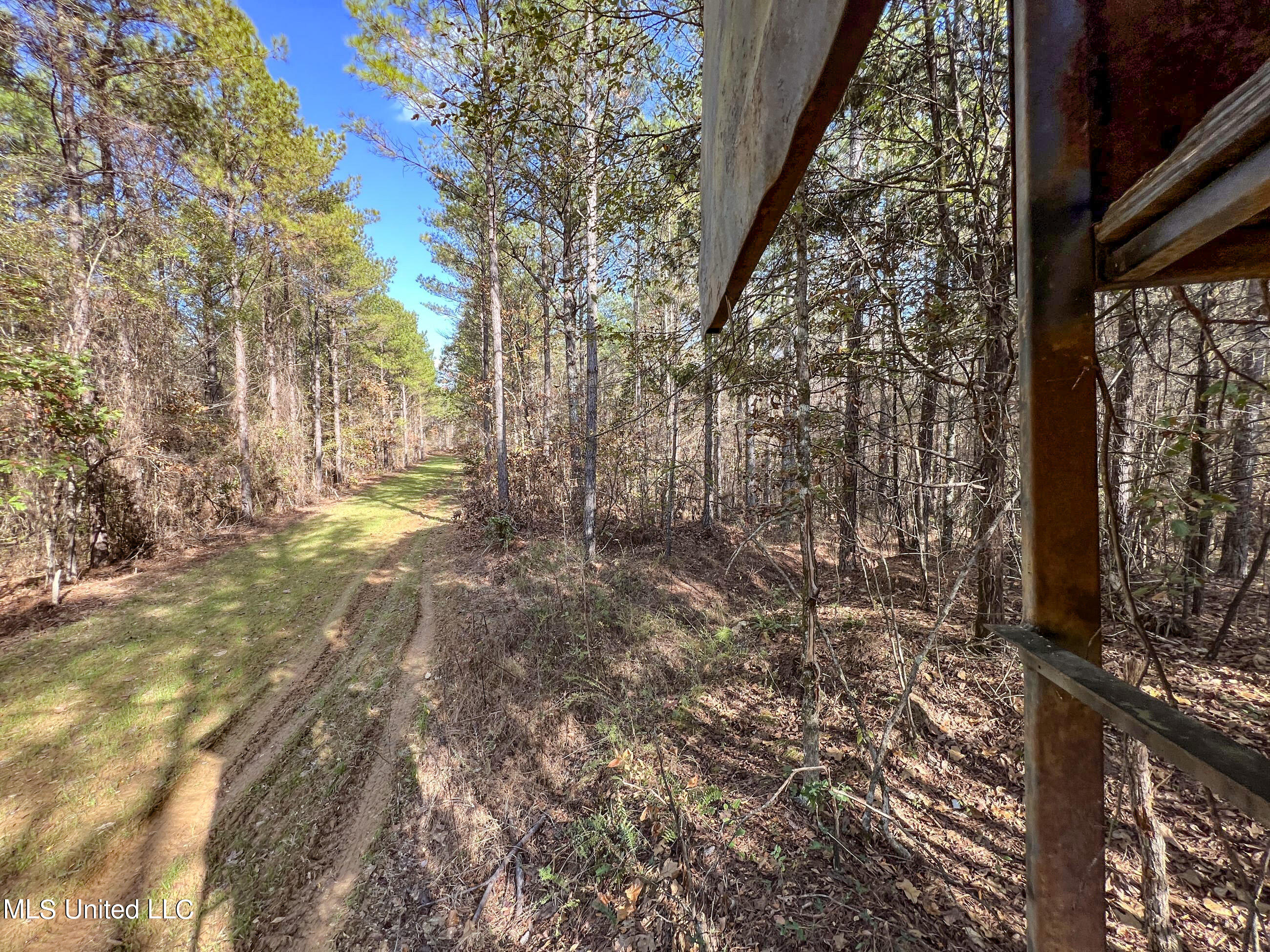 840 Rock Hill Road Como, MS 38619 - Photo 35 of 66 yst54
