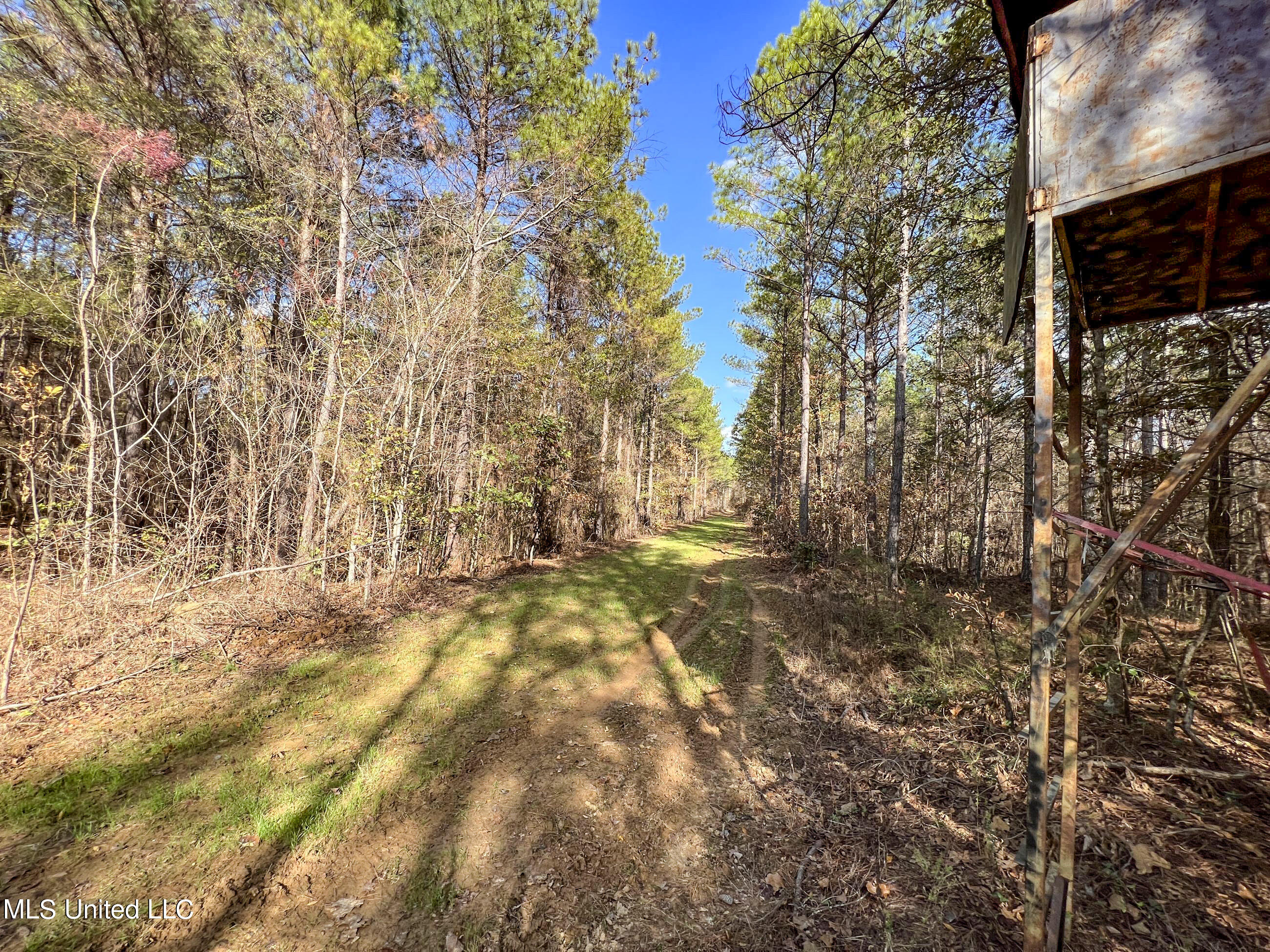 840 Rock Hill Road Como, MS 38619 - Photo 36 of 66 yst55