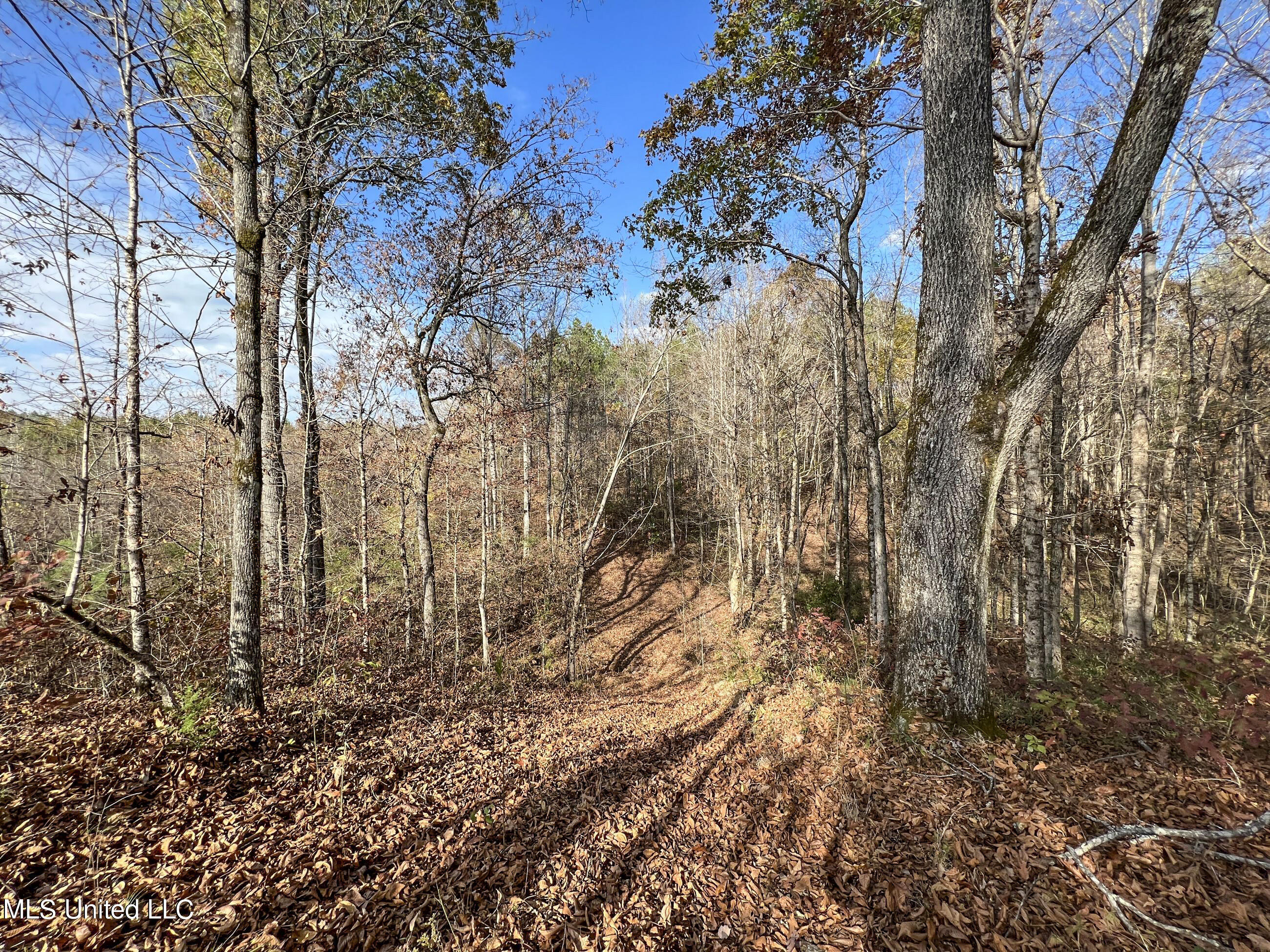 840 Rock Hill Road Como, MS 38619 - Photo 37 of 66 yst62