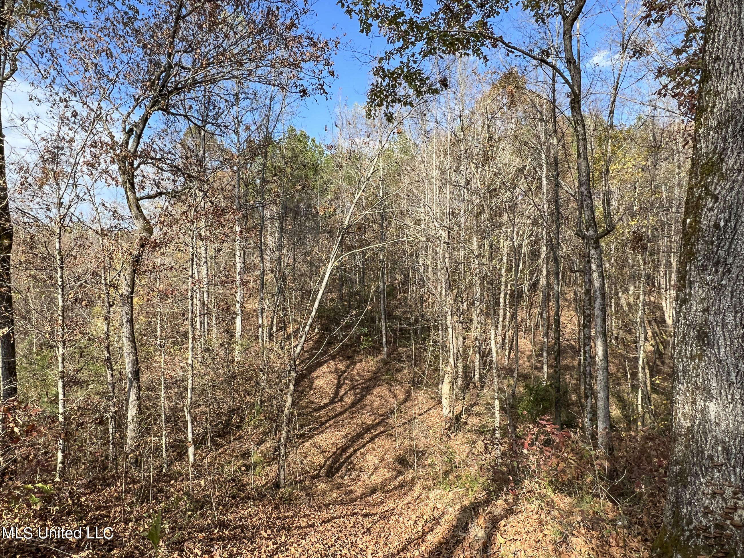 840 Rock Hill Road Como, MS 38619 - Photo 38 of 66 yst63