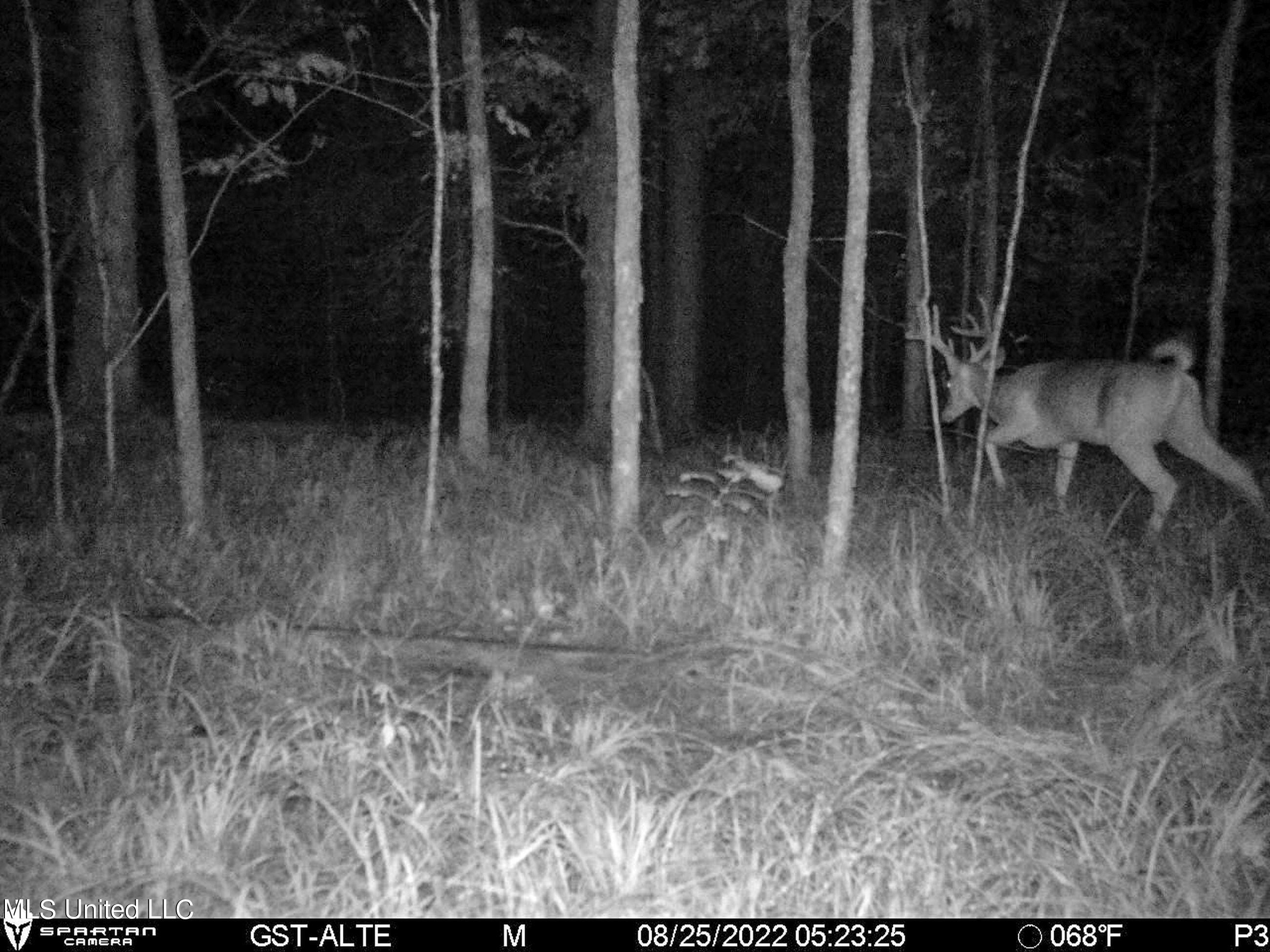 840 Rock Hill Road Como, MS 38619 - Photo 45 of 66 2.1yst9