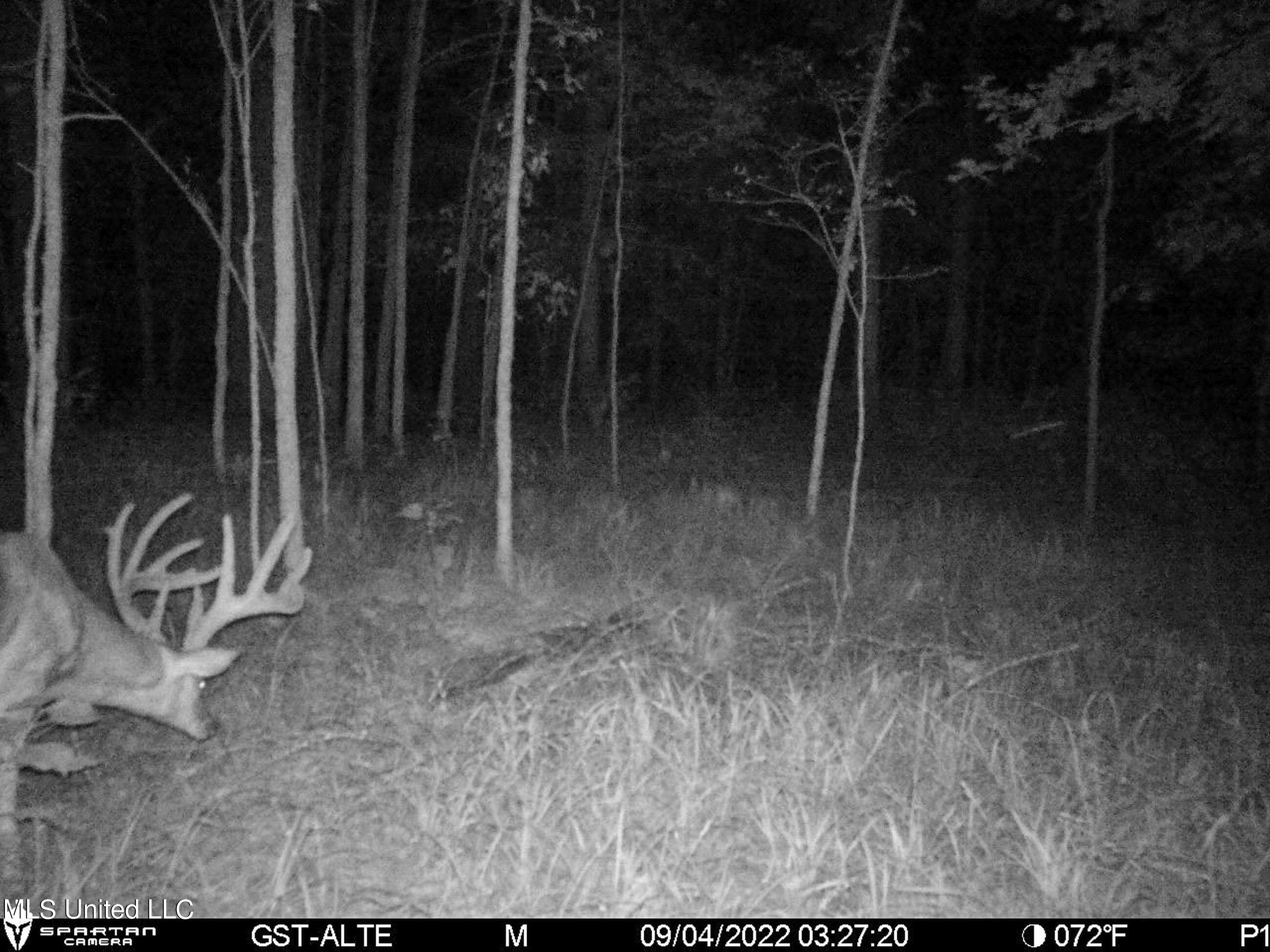 840 Rock Hill Road Como, MS 38619 - Photo 60 of 66 2.1yst35