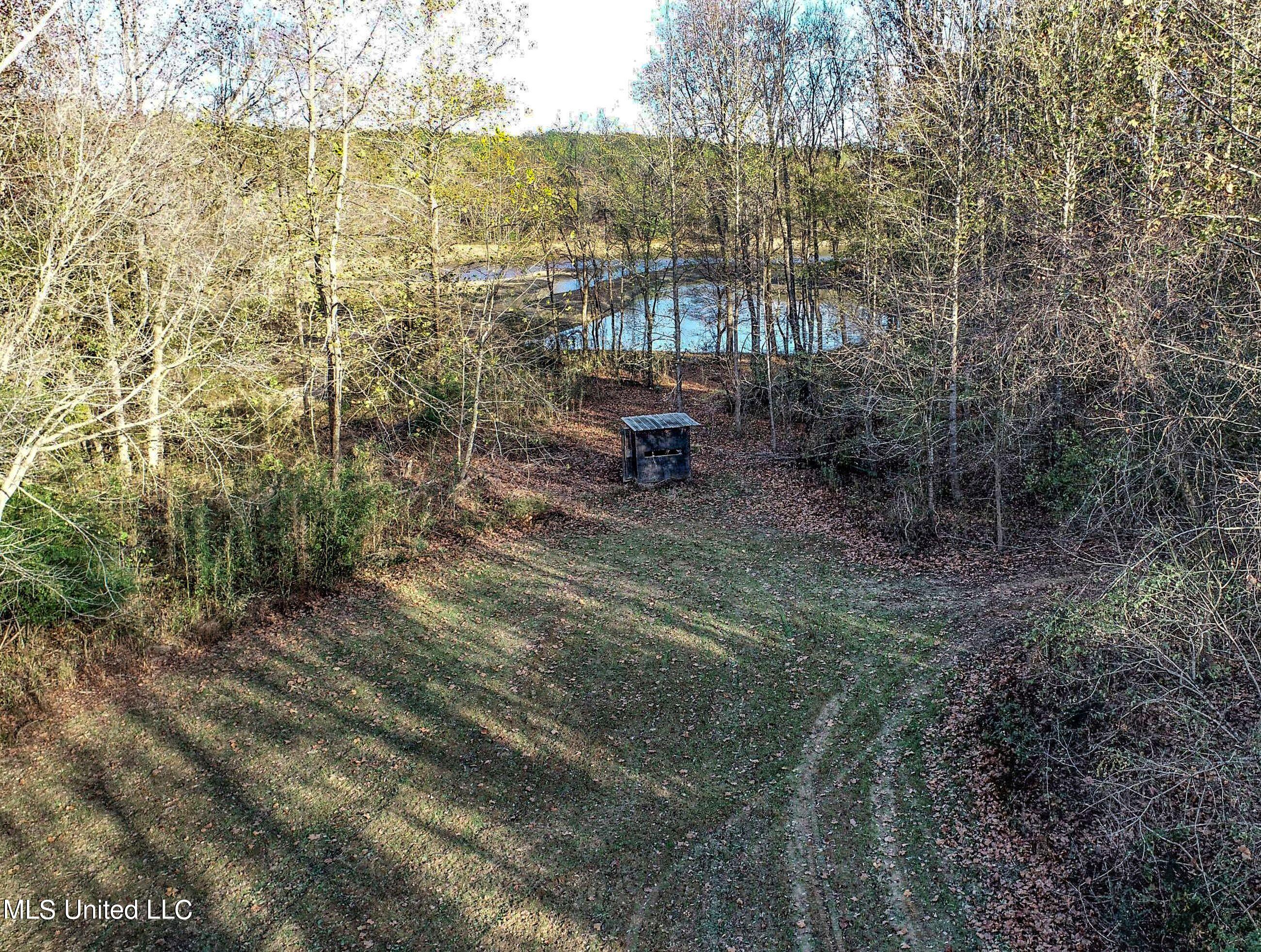 840 Rock Hill Road Como, MS 38619 - Photo 8 of 66 2yst60