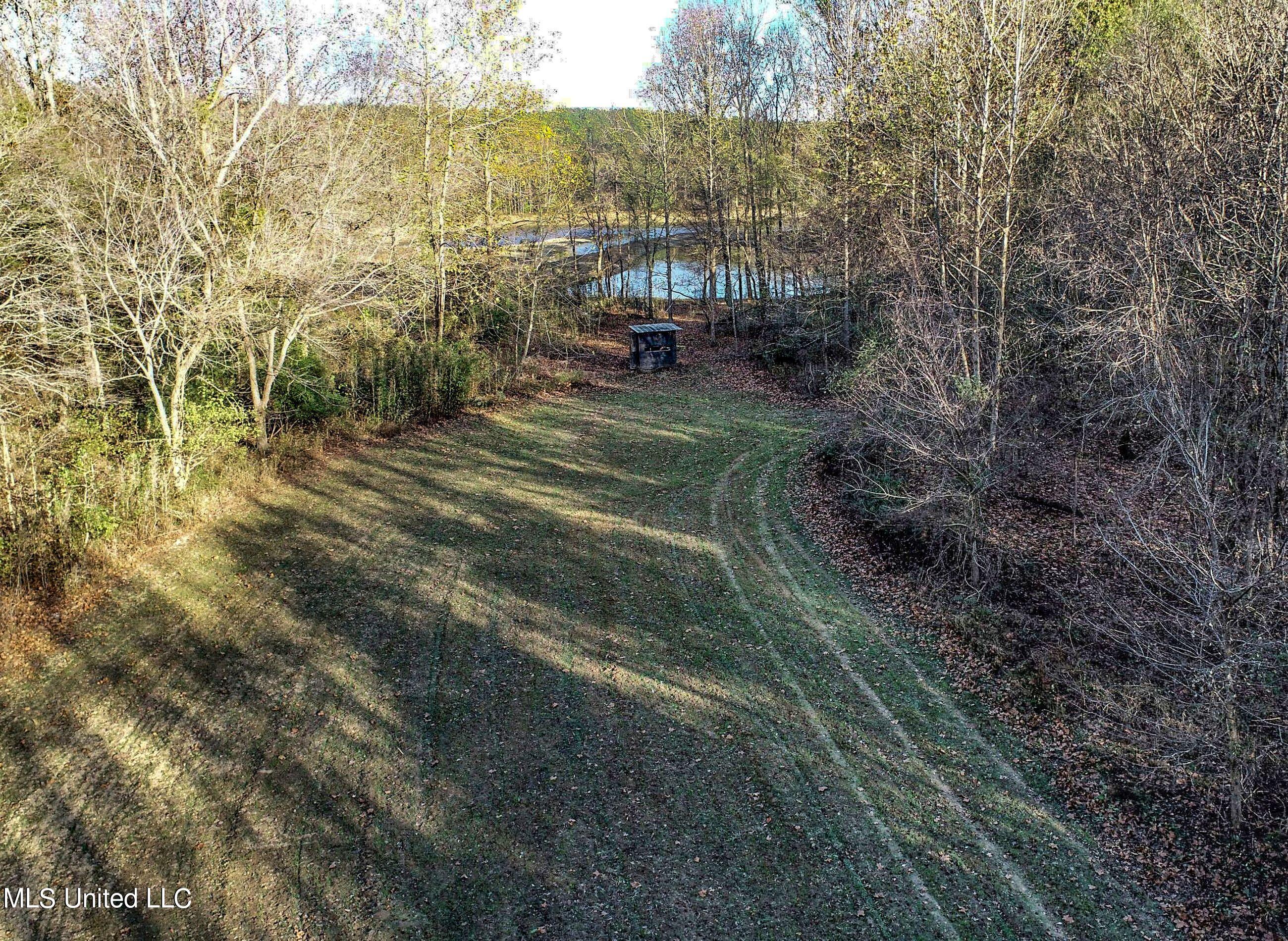 840 Rock Hill Road Como, MS 38619 - Photo 10 of 66 2yst59
