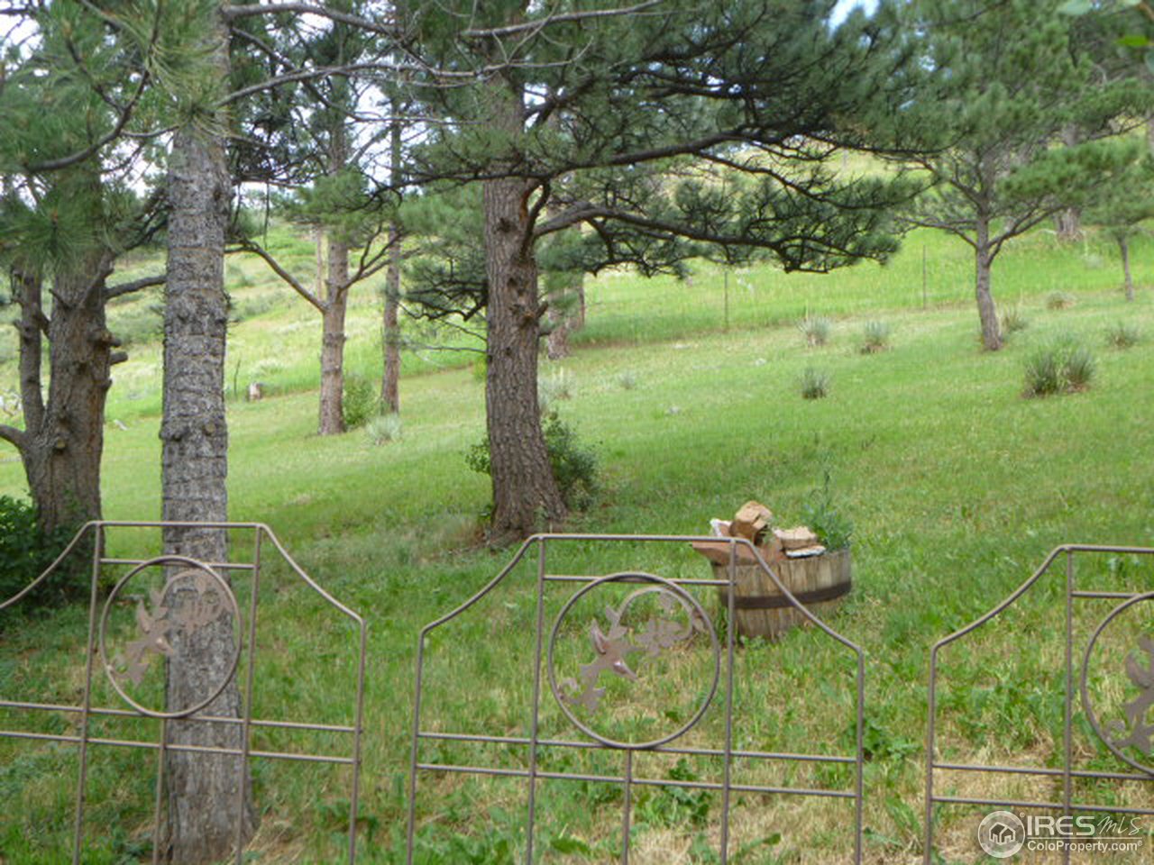 6940 Olde Stage Road Boulder, CO 80302 - Photo 5 of 14 a view of a yard with a tree