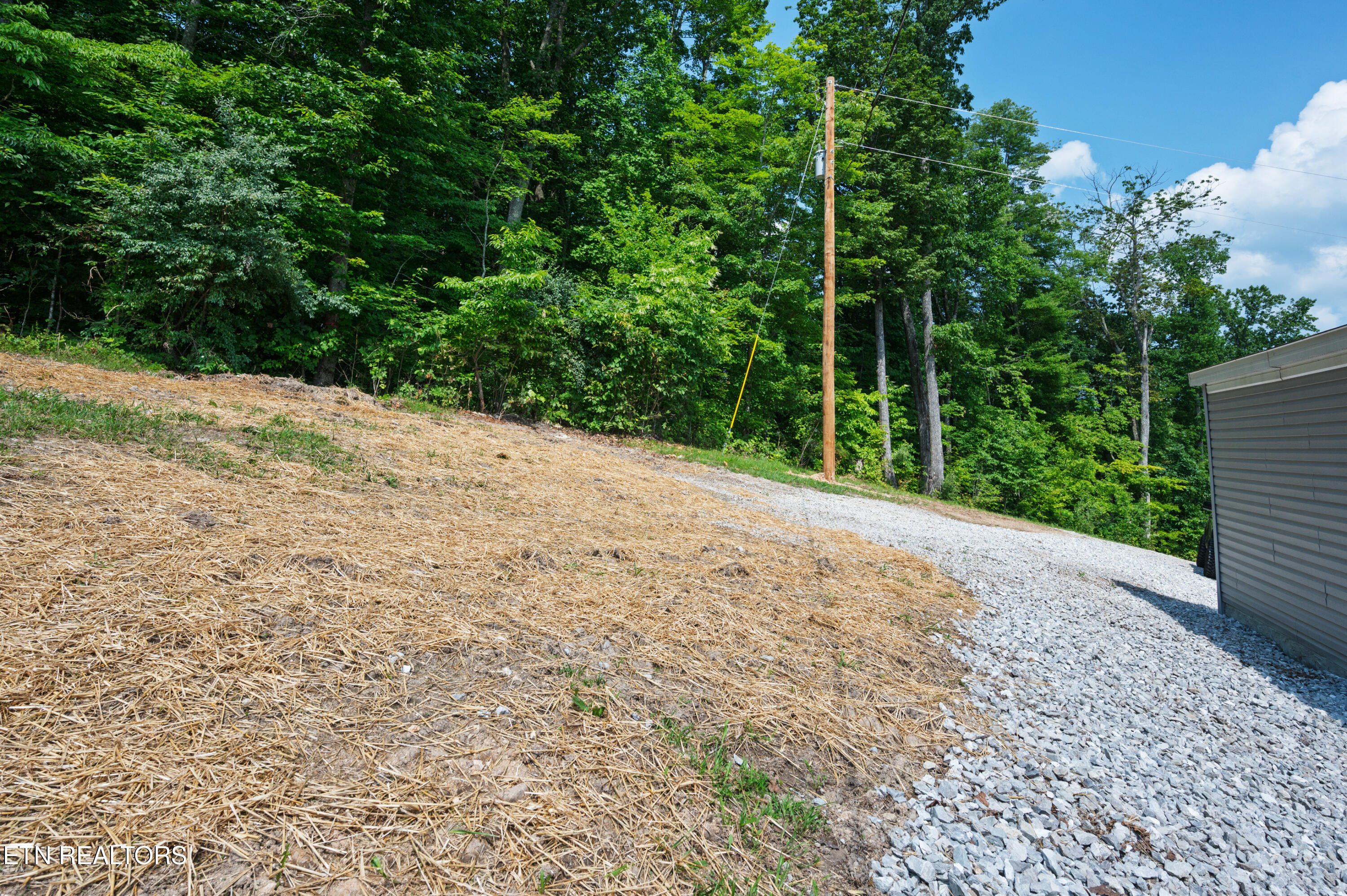 750 Bethlehem Road La Follette, TN 37766 - Photo 41 of 50 Back yard