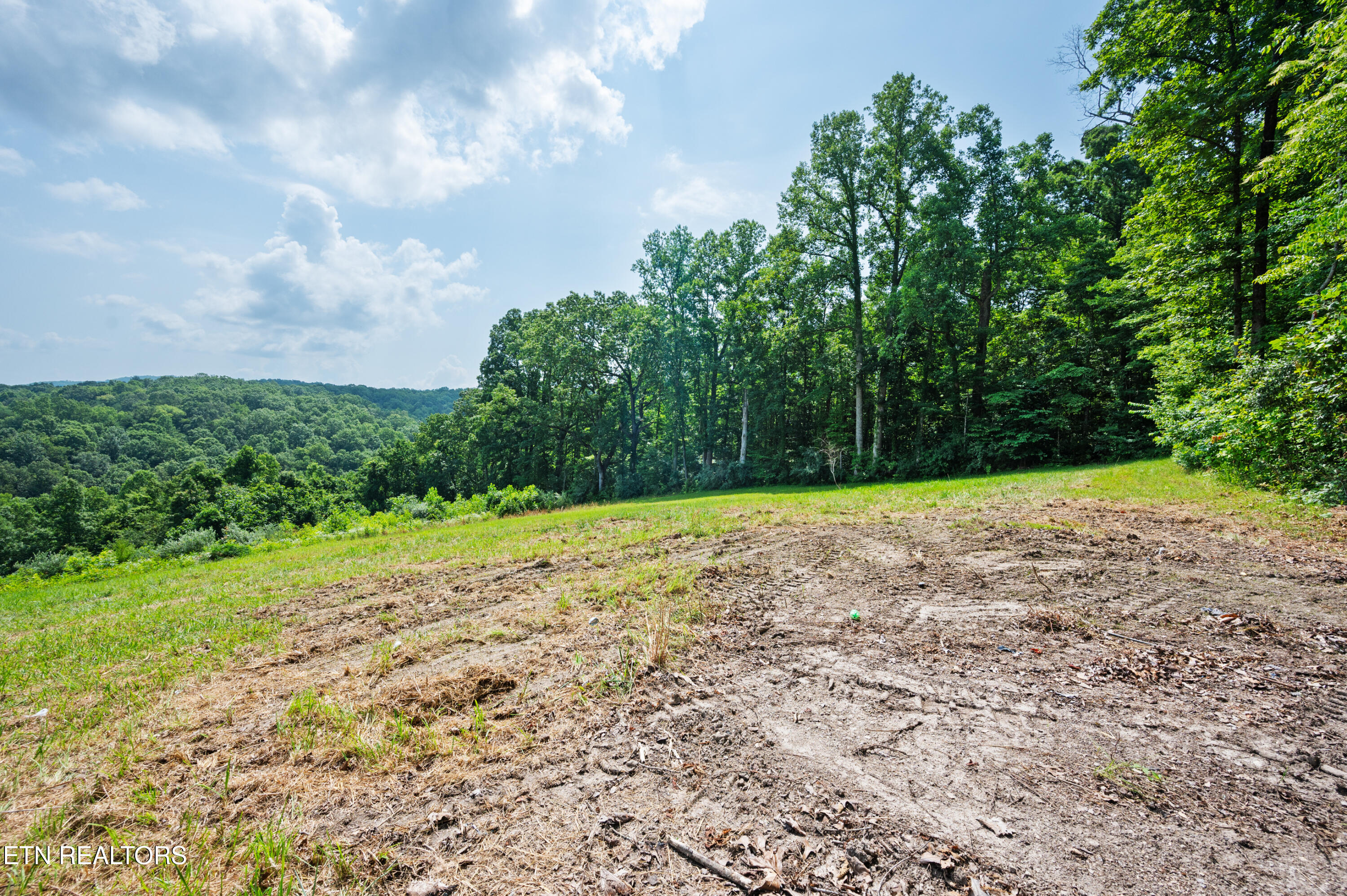 750 Bethlehem Road La Follette, TN 37766 - Photo 42 of 50 Side yard