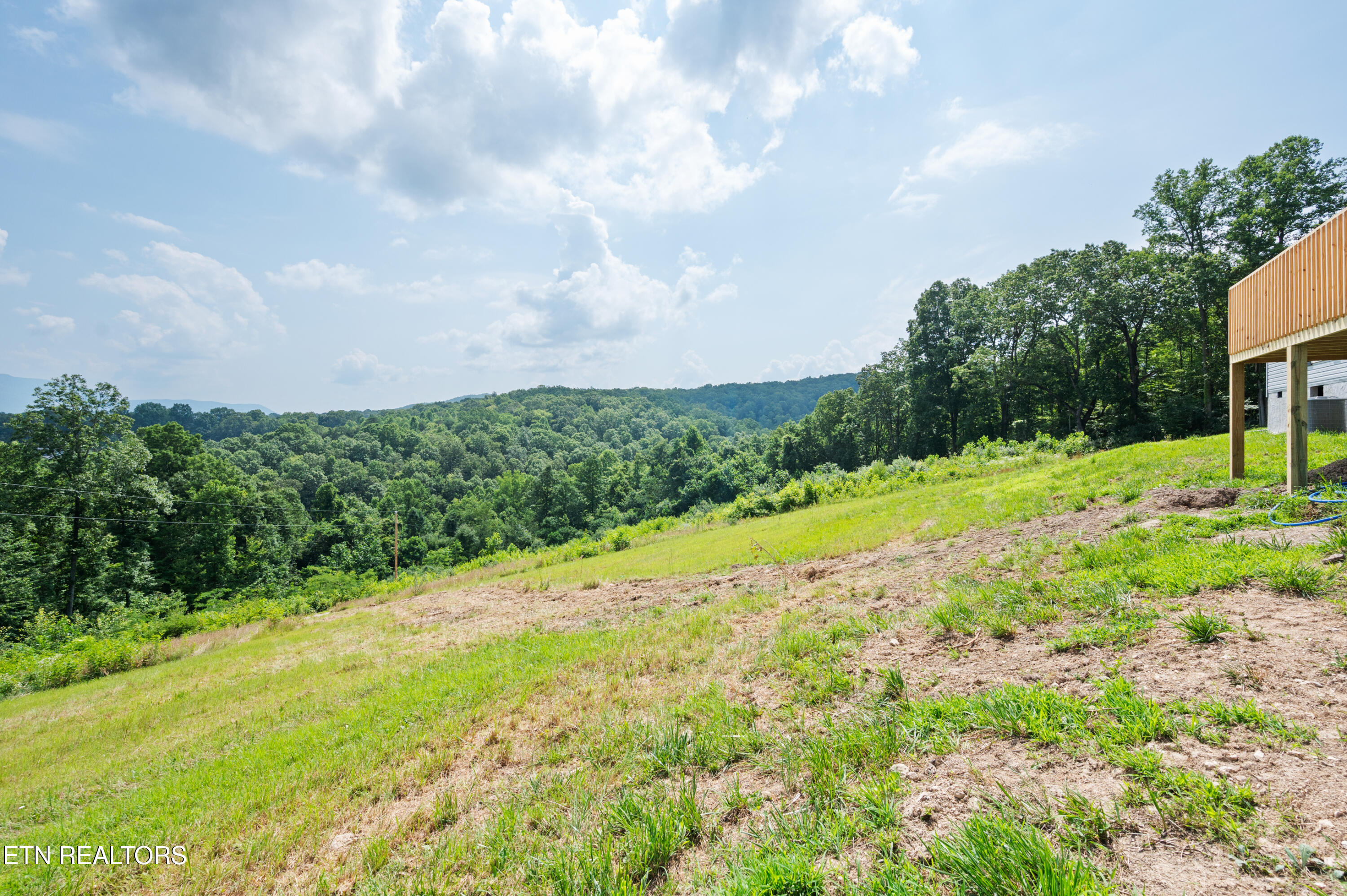 750 Bethlehem Road La Follette, TN 37766 - Photo 48 of 50 Front yard