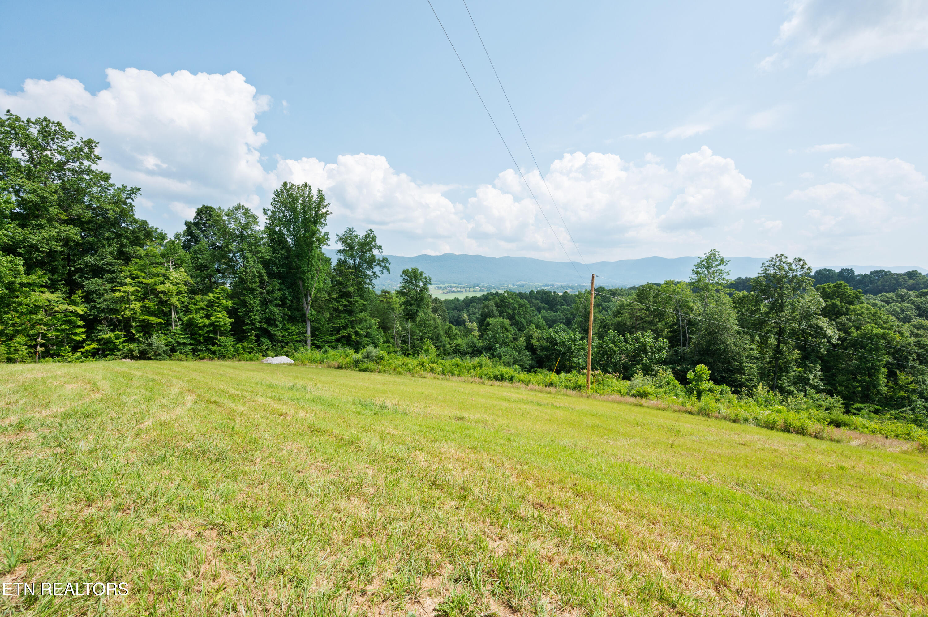 750 Bethlehem Road La Follette, TN 37766 - Photo 49 of 50 Front yard