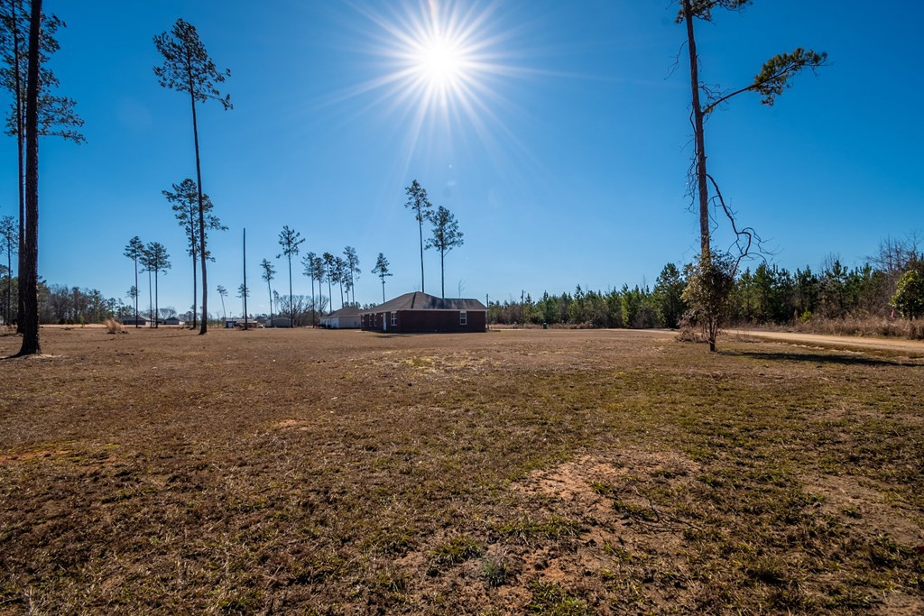 4735 Easy Street Rembert, SC 29128 - Photo 50 of 51