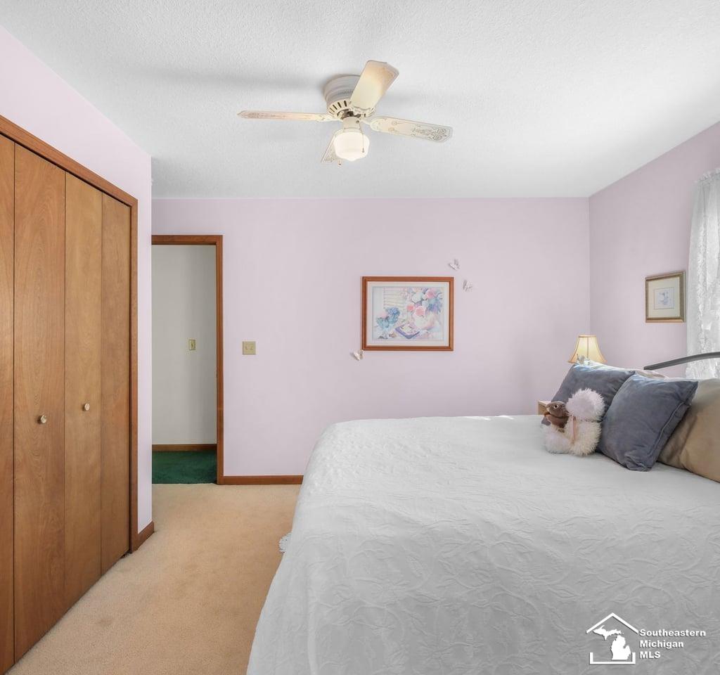 4265 Teal Road Petersburg, MI 49270 - Photo 27 of 67 50188639-7fc76bfe-999c-41d5-9de6-319d23ef7ddc.JPG