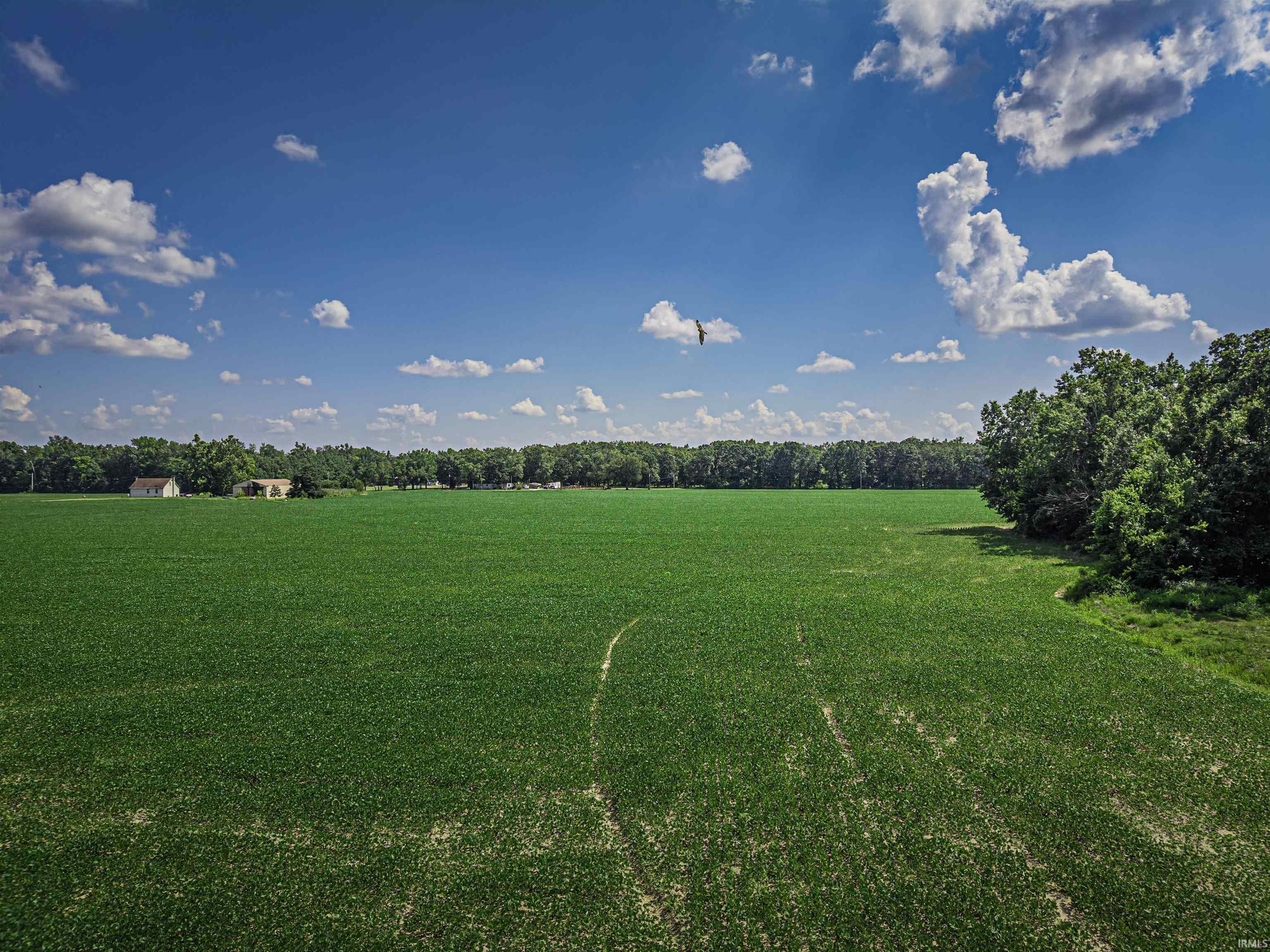12691 Point Road Mount Vernon, IN 47620 - Photo 21 of 29