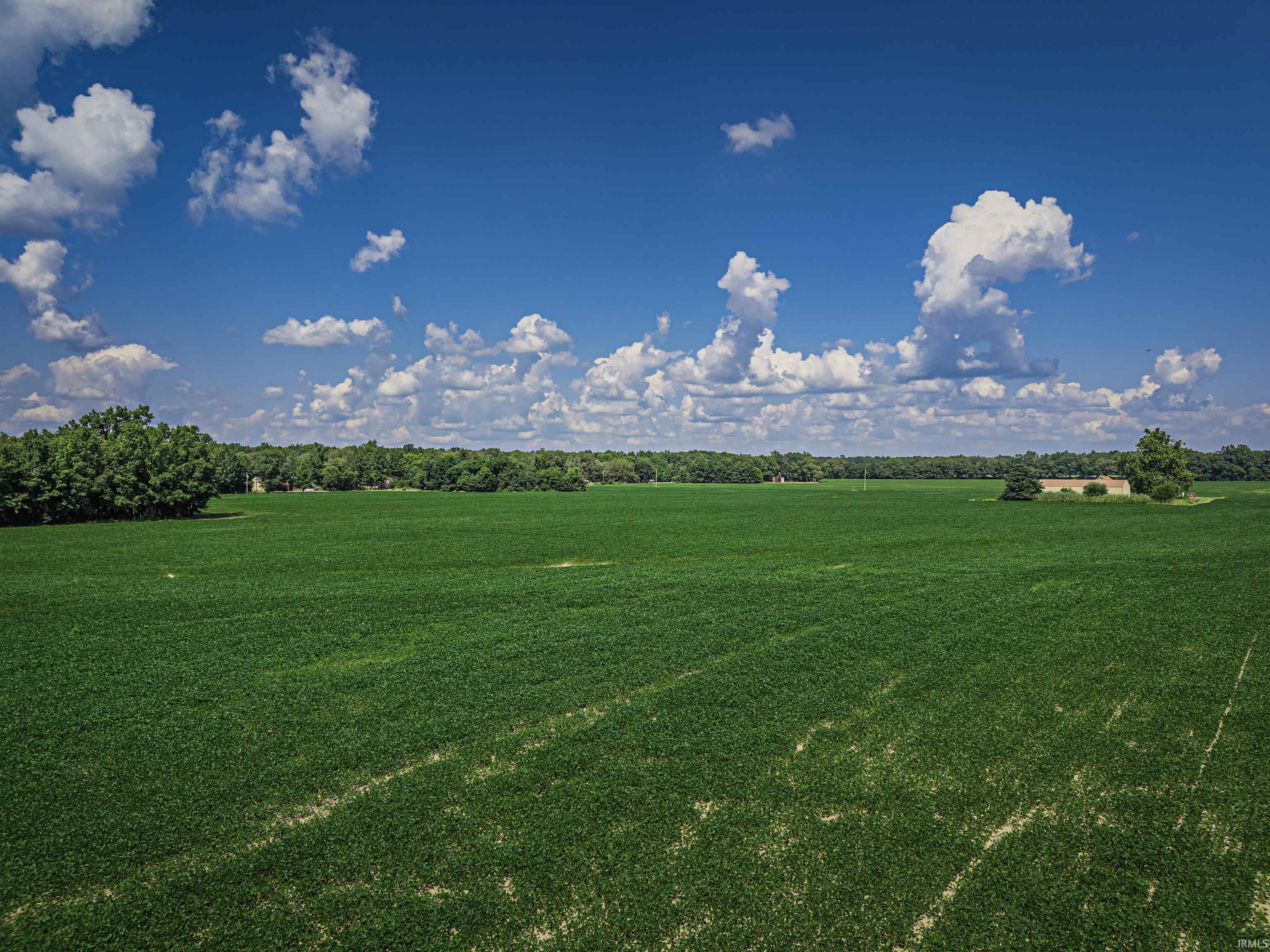 12691 Point Road Mount Vernon, IN 47620 - Photo 23 of 29