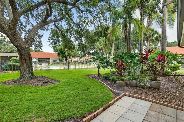 a view of a garden with a tree