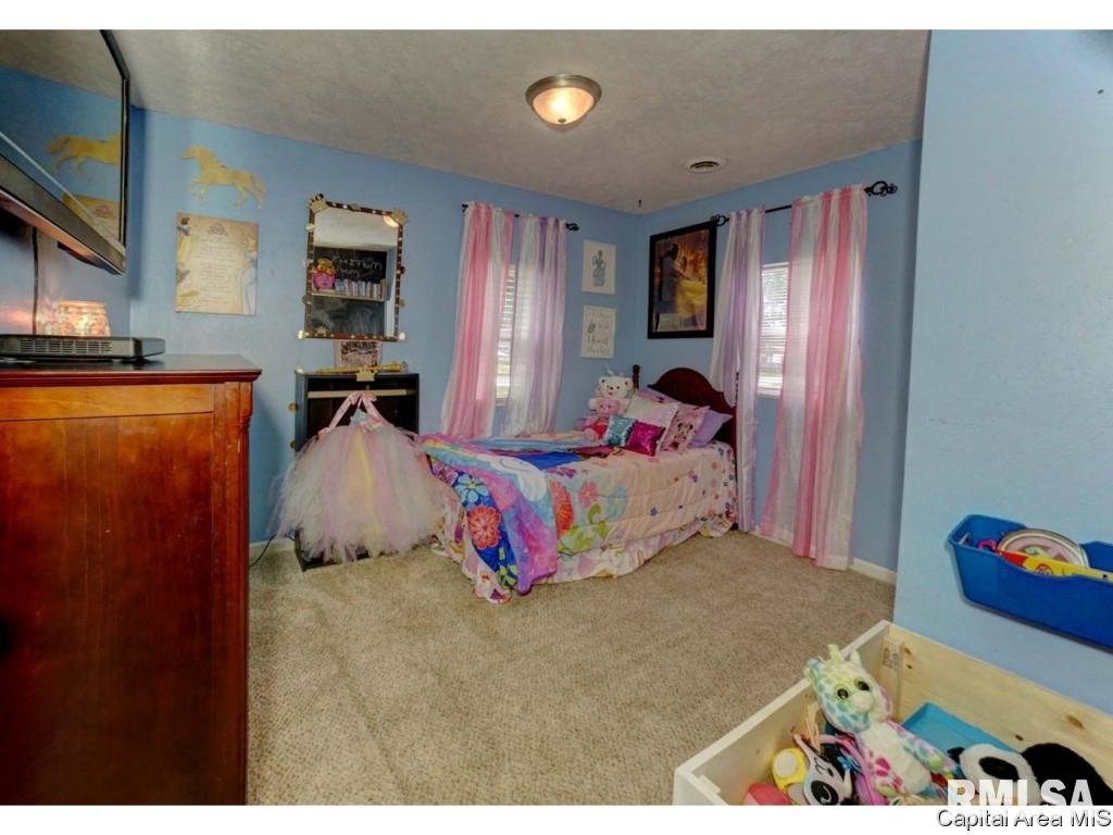 3101 Carman Avenue Springfield, IL 62703 - Photo 14 of 22 Gallery Image 14