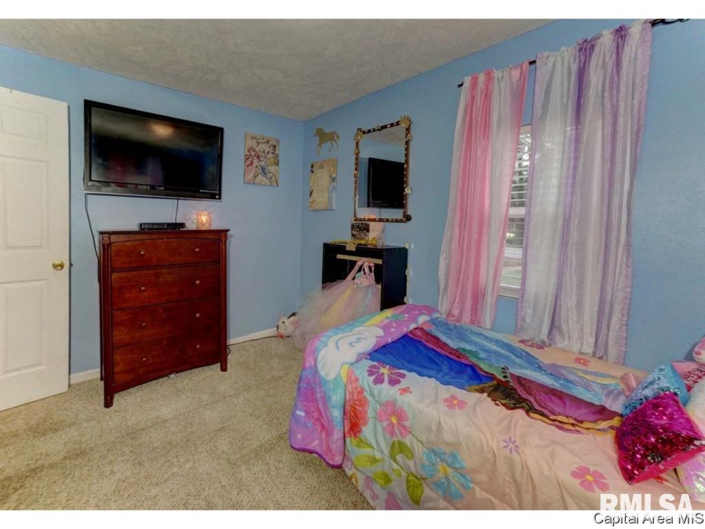3101 Carman Avenue Springfield, IL 62703 - Photo 15 of 22 Gallery Image 15