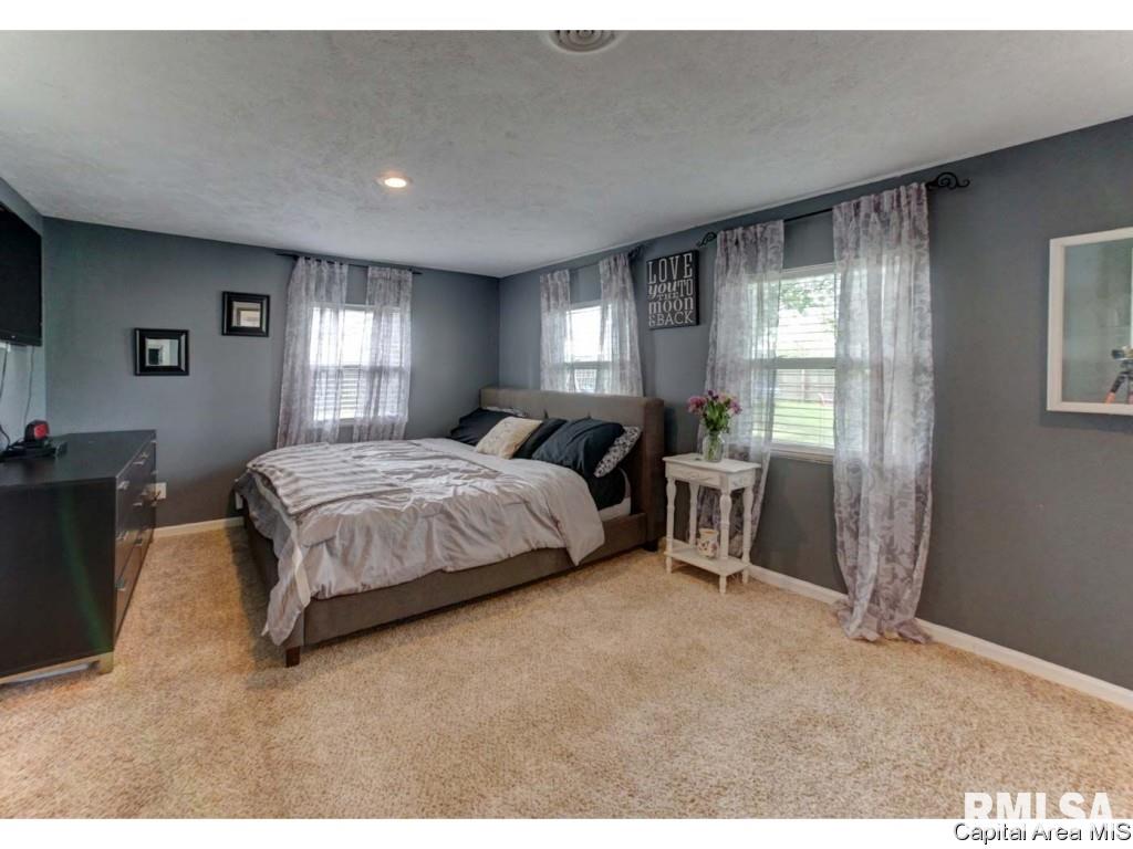 3101 Carman Avenue Springfield, IL 62703 - Photo 17 of 22 Gallery Image 17