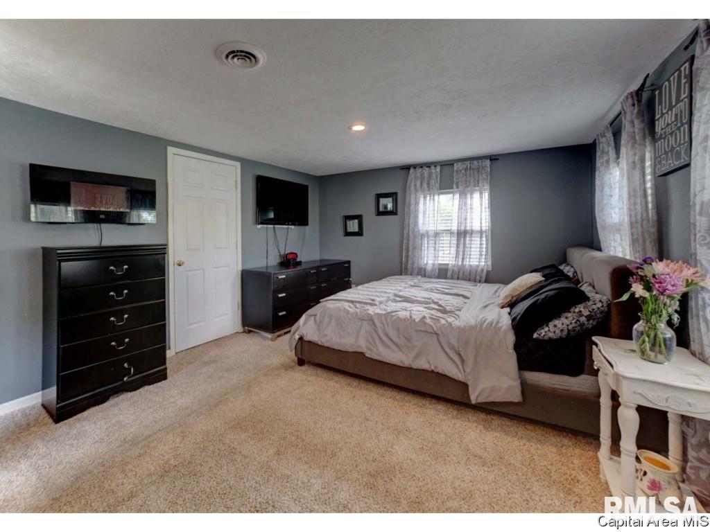 3101 Carman Avenue Springfield, IL 62703 - Photo 18 of 22 Gallery Image 18