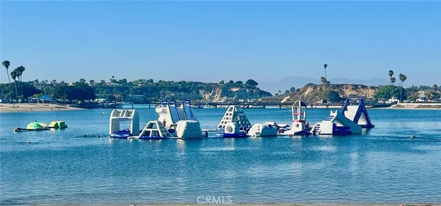 a view of a garden with plants