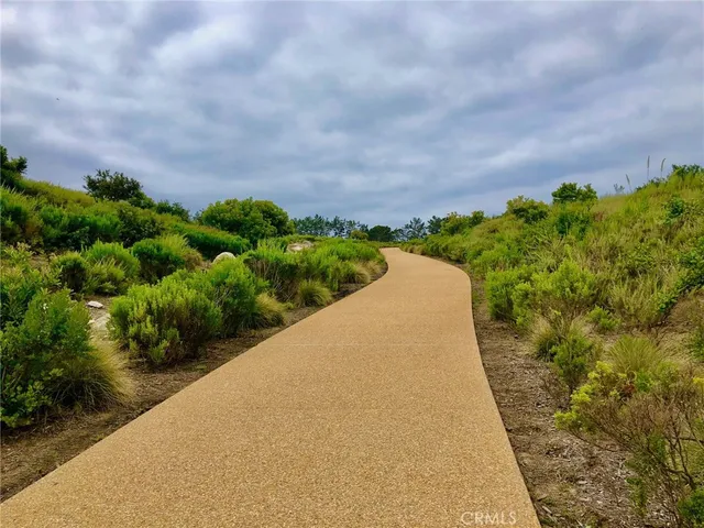 a view of lake and city