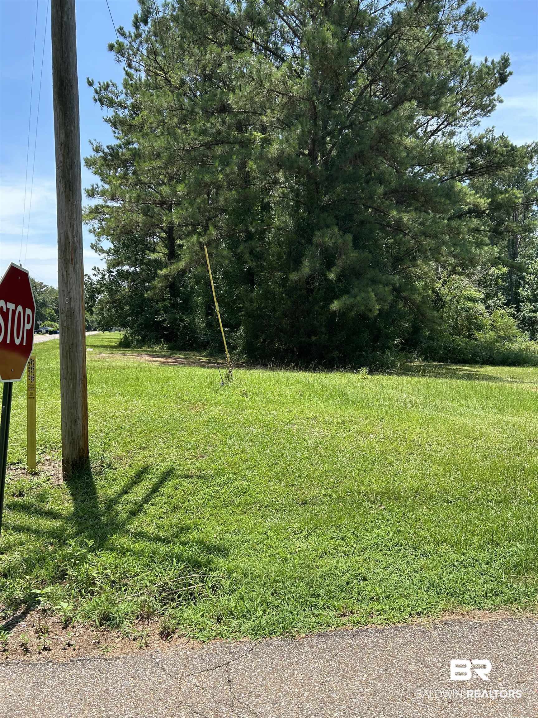 0 Factory Street Evergreen, AL 36401 - Photo 4 of 9 View of yard