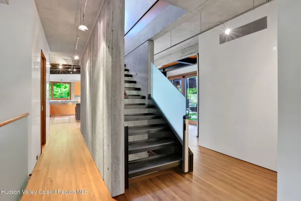 a close up of a plant in a garden