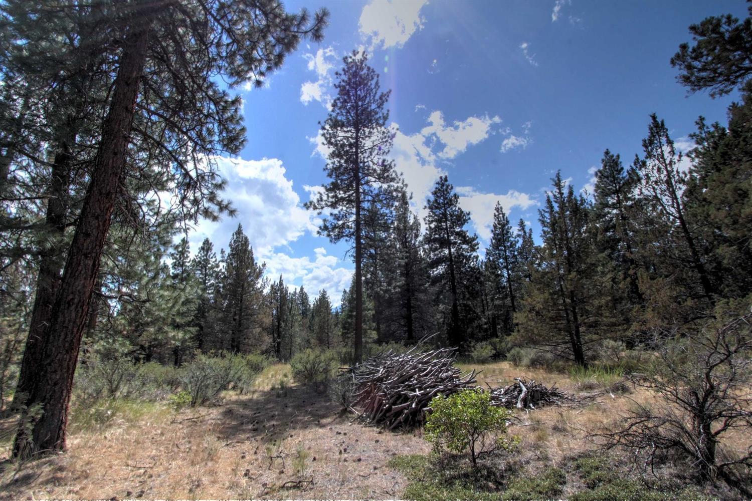 1050 Telephone Flat Road Chiloquin, OR 97624 - Photo 28 of 35 Additional Photo