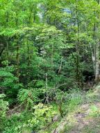 740 Cool Springs Road Manchester, KY 40962 - Photo 2 of 4 20220521123932376427000000