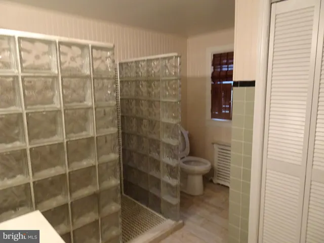 a bathroom with a shower and a toilet
