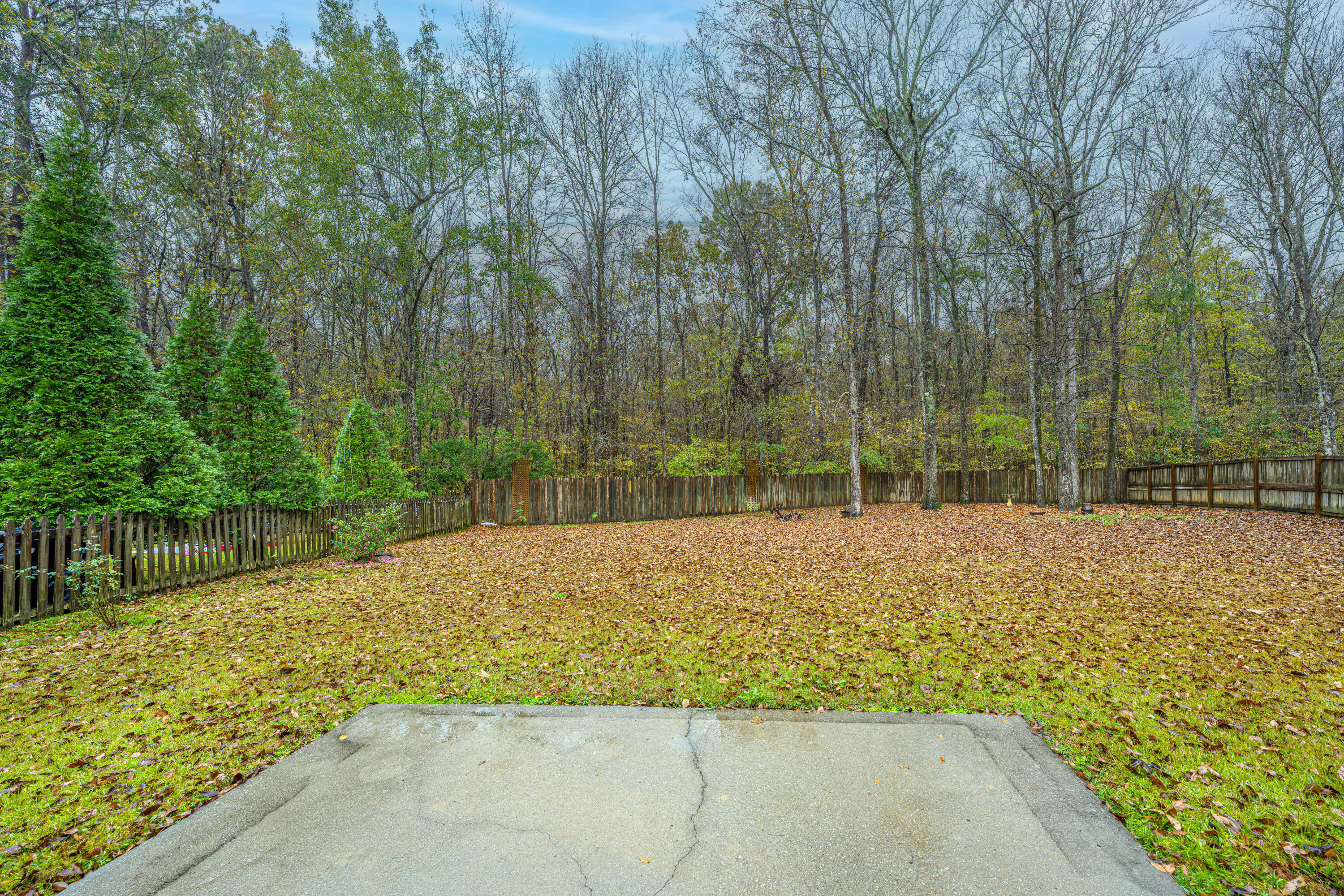 147 Old Tree Road Goose Creek, SC 29445 - Photo 38 of 42 147OldTreeRd042