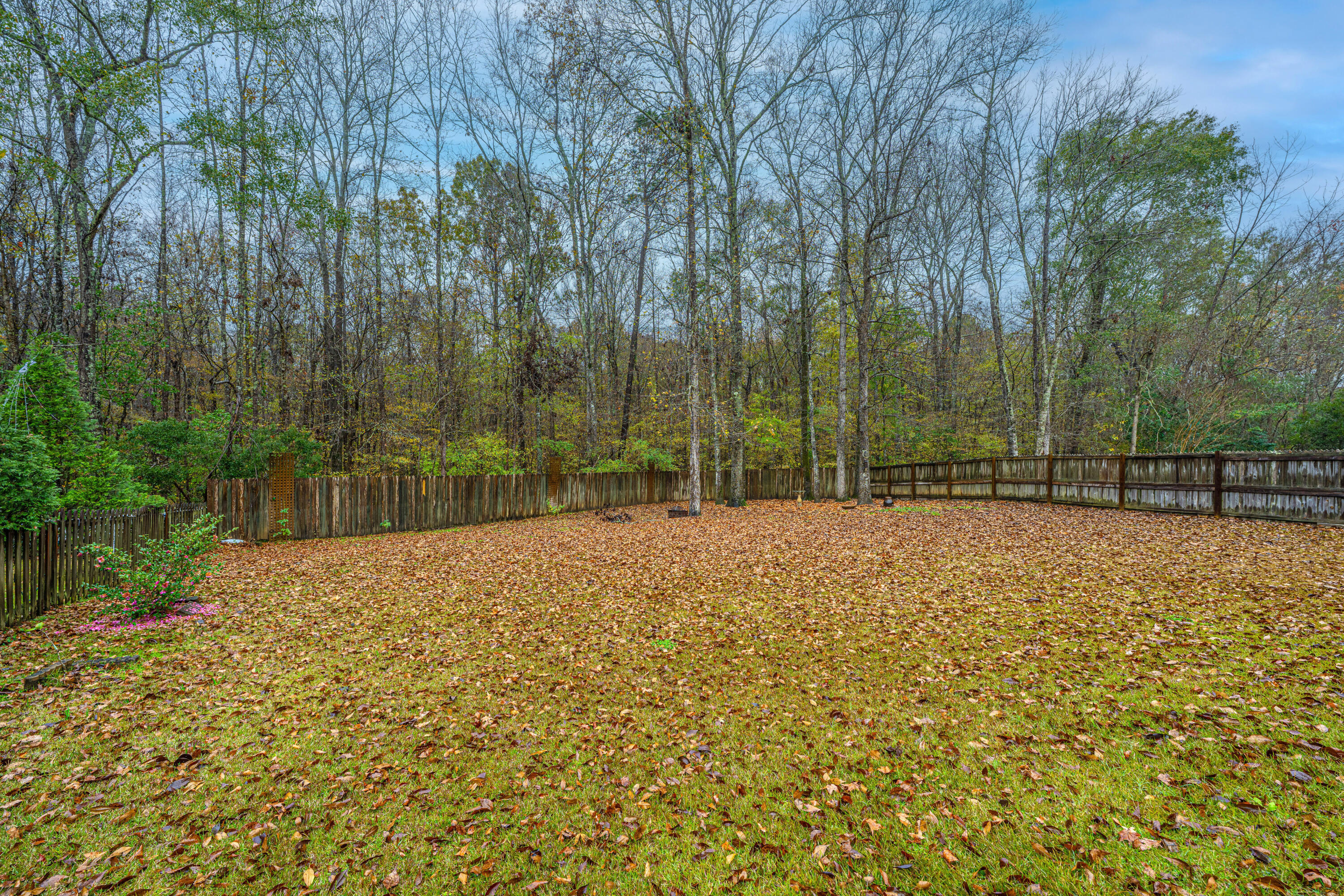 147 Old Tree Road Goose Creek, SC 29445 - Photo 39 of 42 147OldTreeRd043