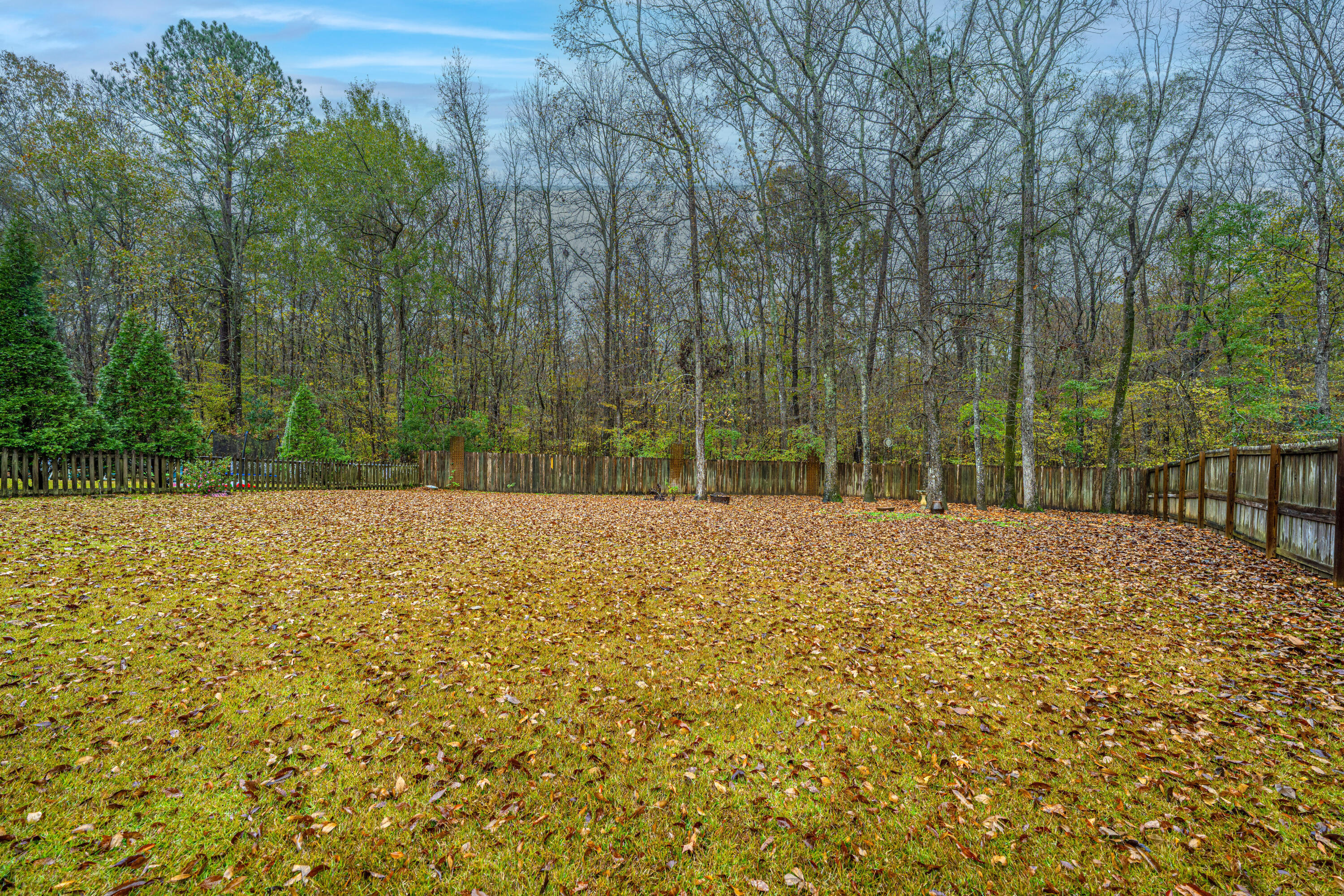 147 Old Tree Road Goose Creek, SC 29445 - Photo 40 of 42 147OldTreeRd044