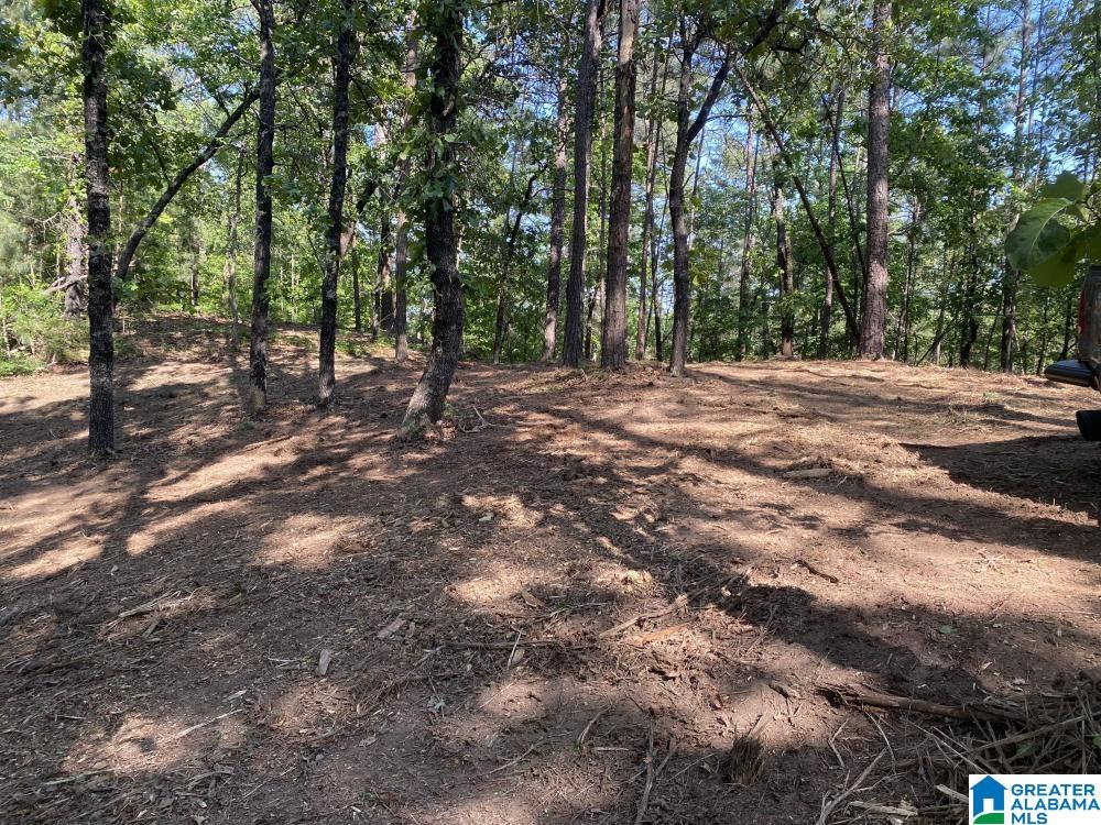 Oak Tree Drive, Unit C2/A Chelsea, AL 35043 - Photo 3 of 11