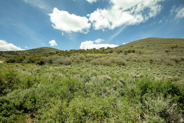 1646 North Miles Holw Road, Unit 29 Kamas, UT 84036 - Photo 20 of 35 Expansive undeveloped land featuring rolling hills and varied natural vegetation